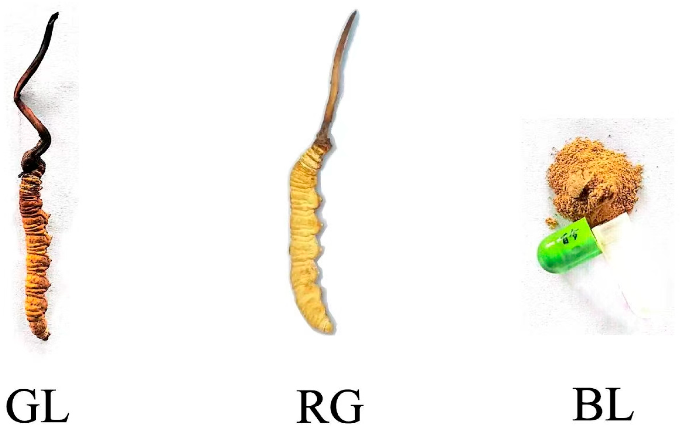 Jof 11 00740 g001 Jof 11 00740 g001