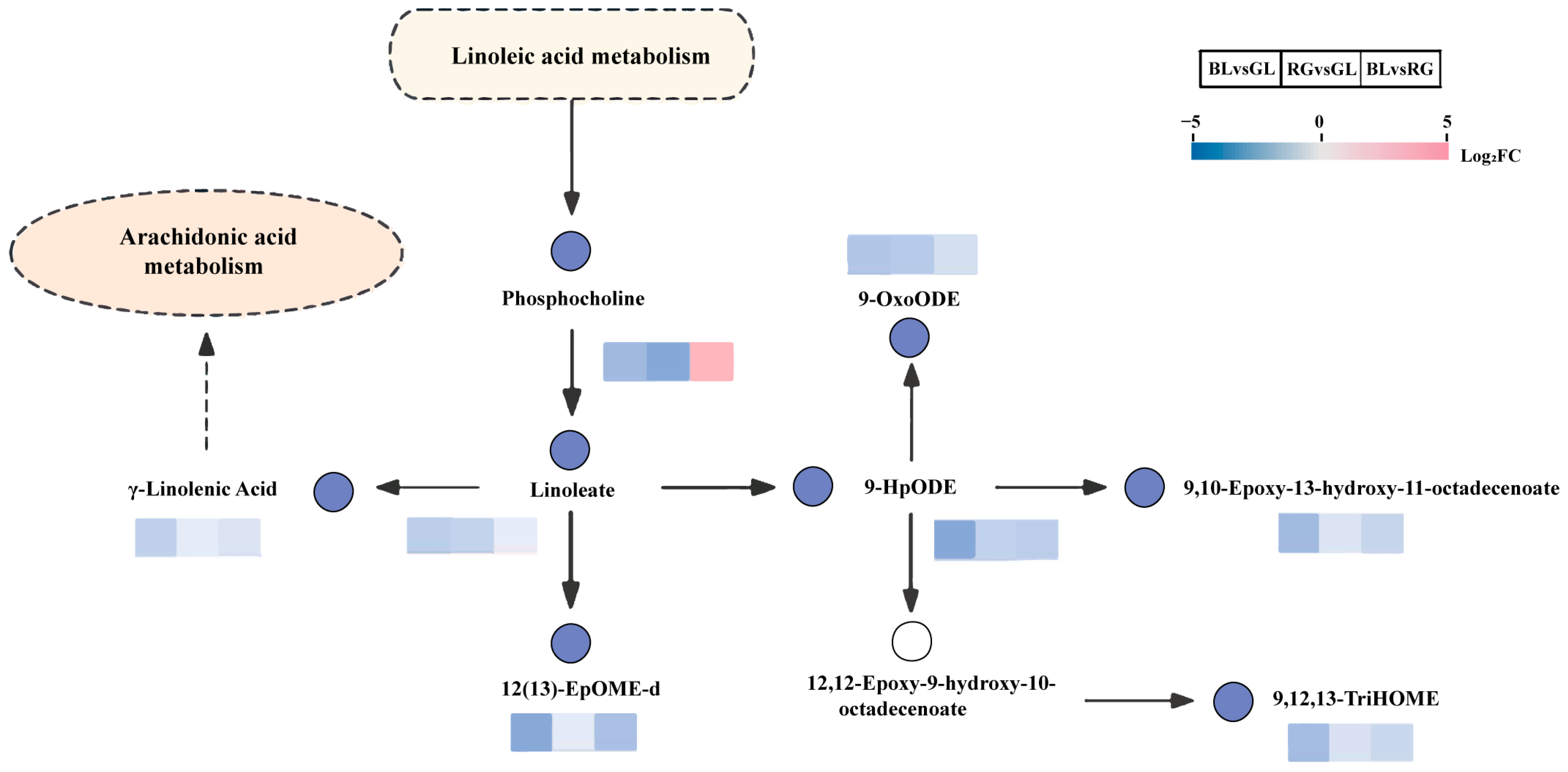 Jof 11 00740 g006 Jof 11 00740 g006