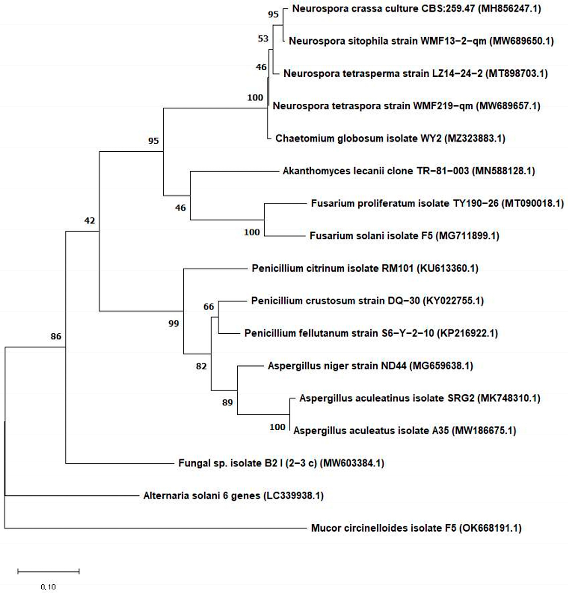 Jof 11 00741 g001 Jof 11 00741 g001