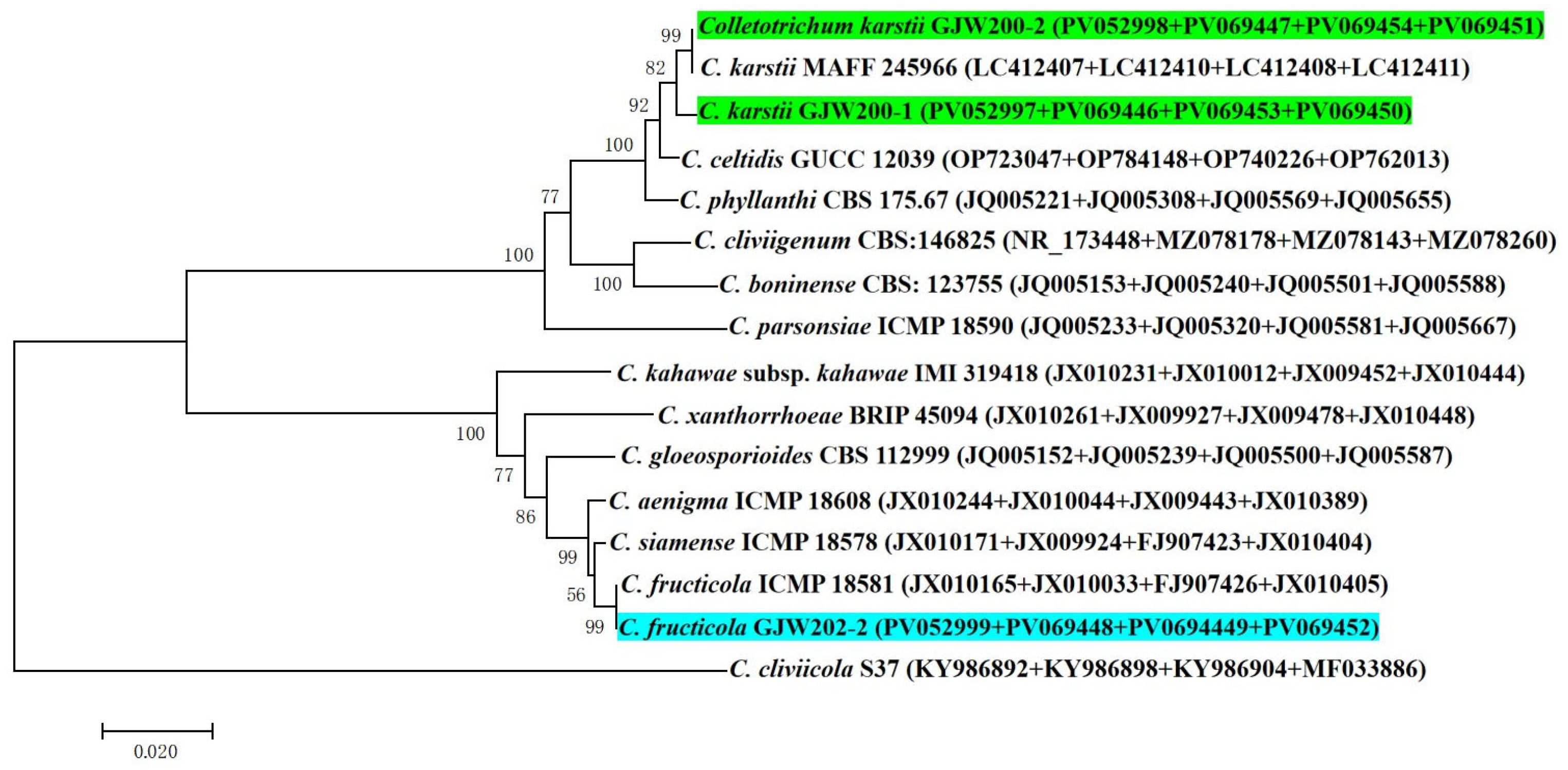 Jof 11 00748 g003 Jof 11 00748 g003