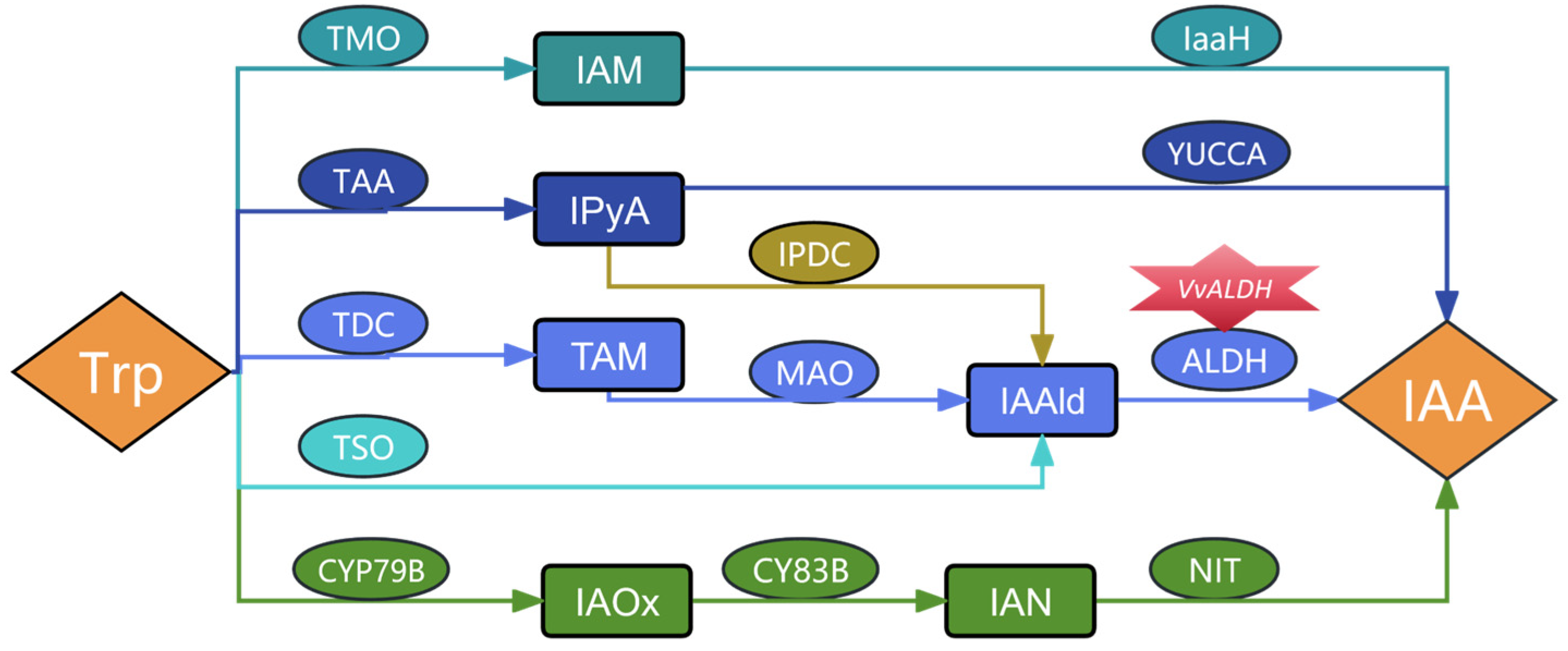 Jof 11 00773 g001 Jof 11 00773 g001