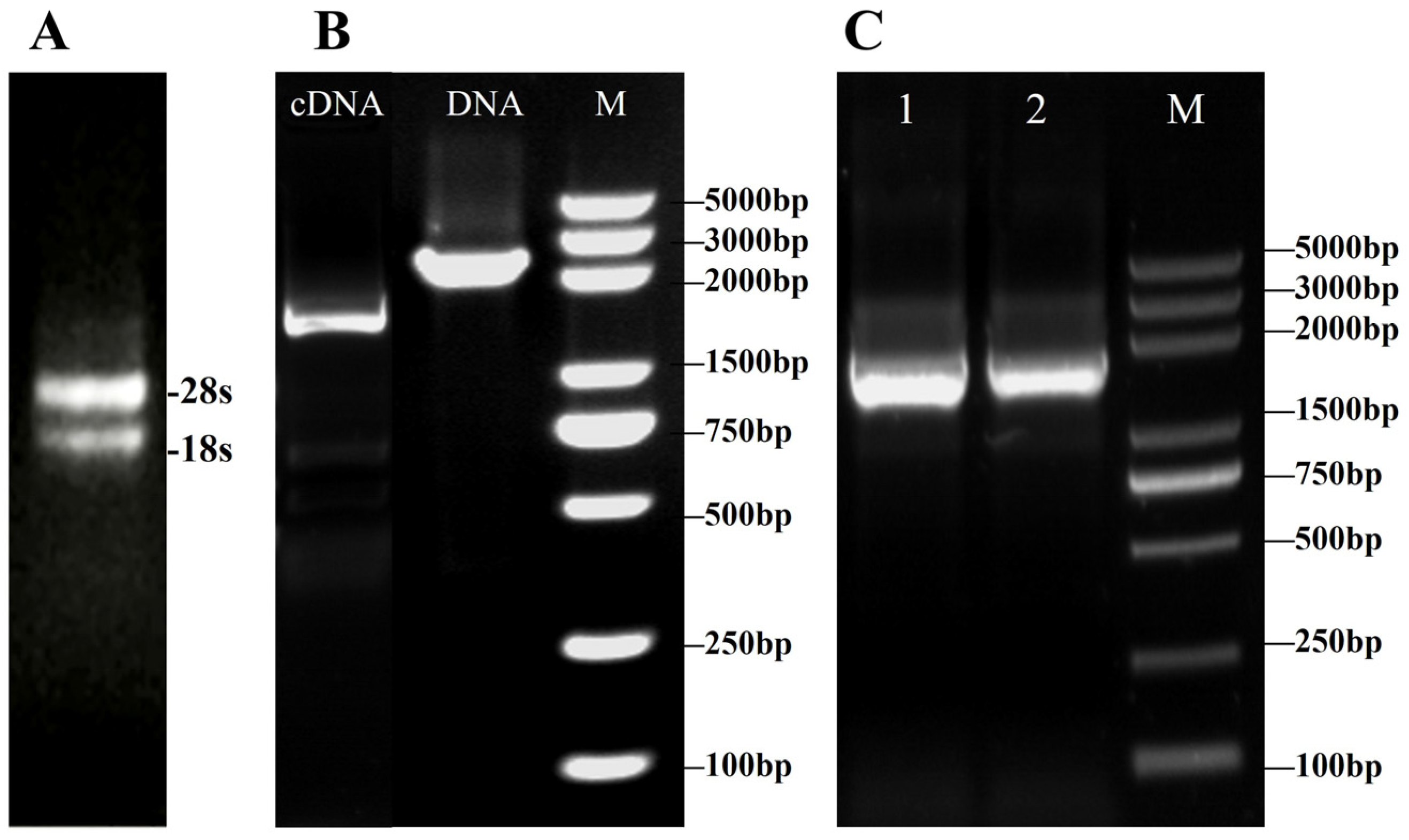 Jof 11 00773 g003 Jof 11 00773 g003