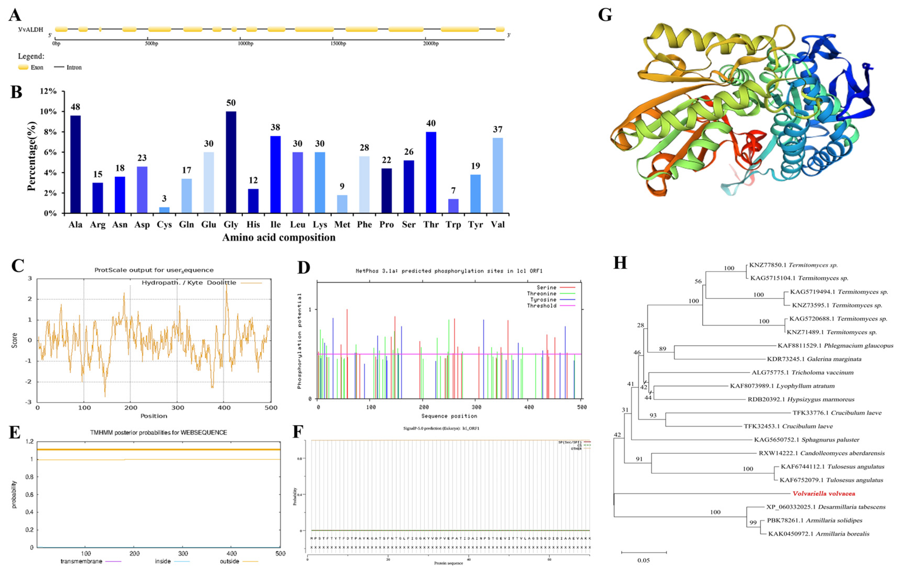 Jof 11 00773 g004 Jof 11 00773 g004
