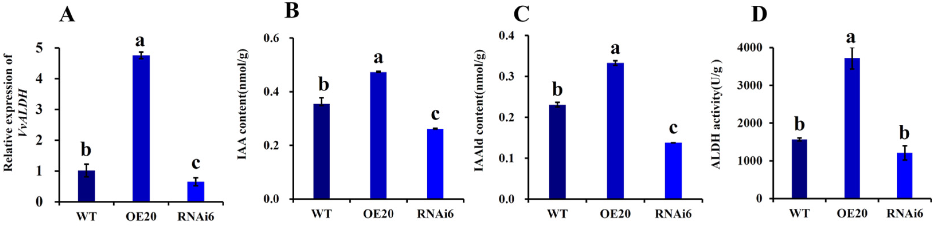 Jof 11 00773 g009 Jof 11 00773 g009