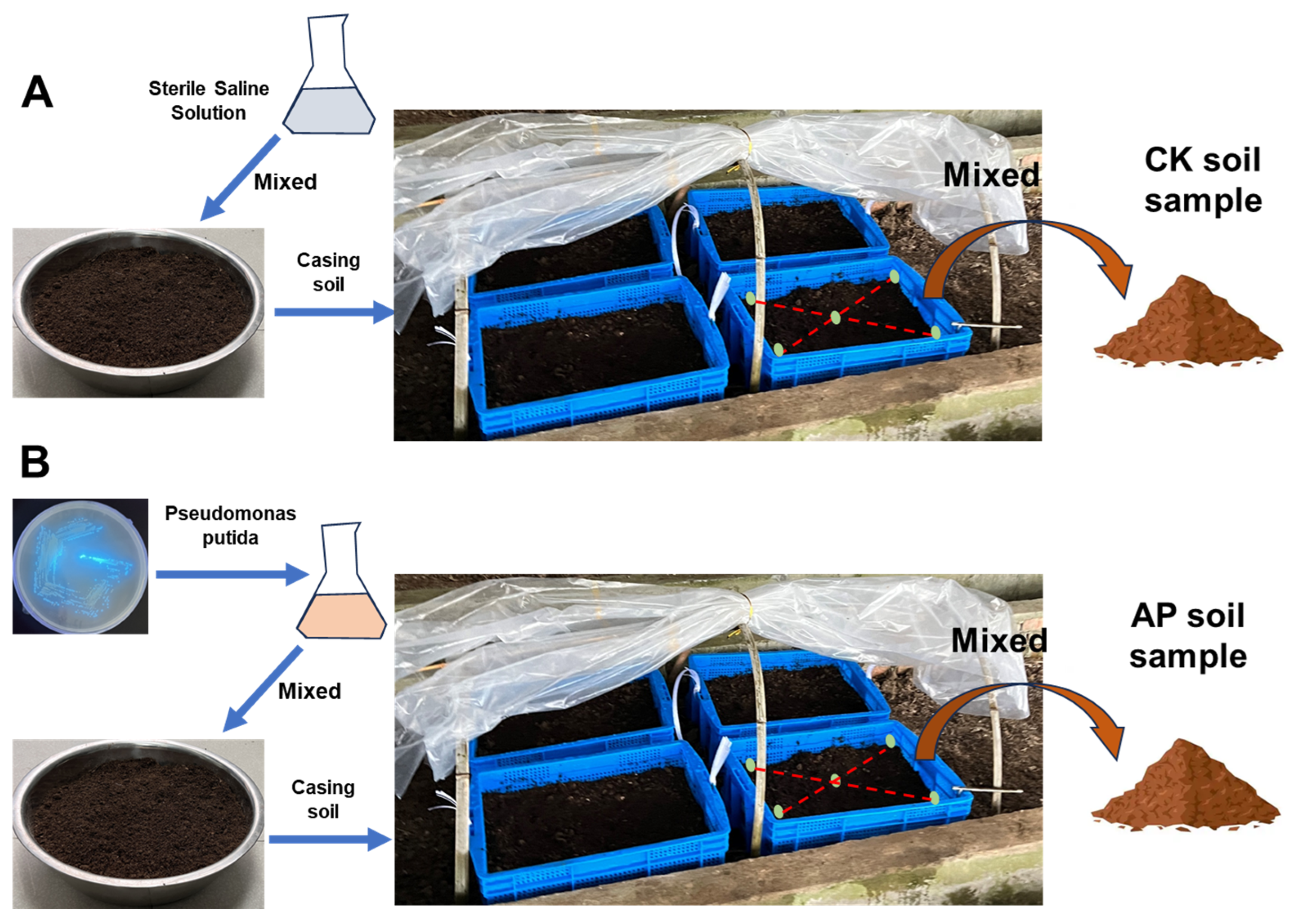 Jof 11 00775 g001 Jof 11 00775 g001