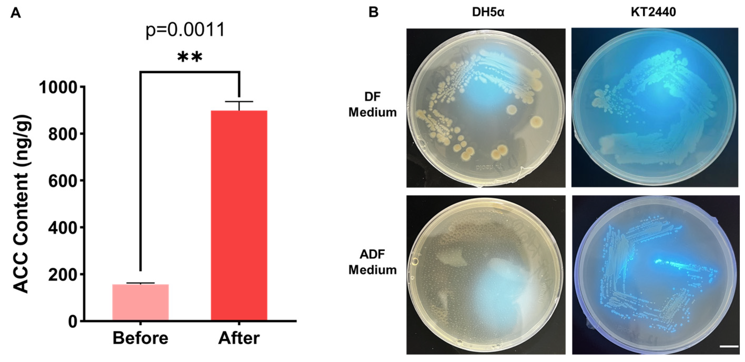 Jof 11 00775 g002 Jof 11 00775 g002