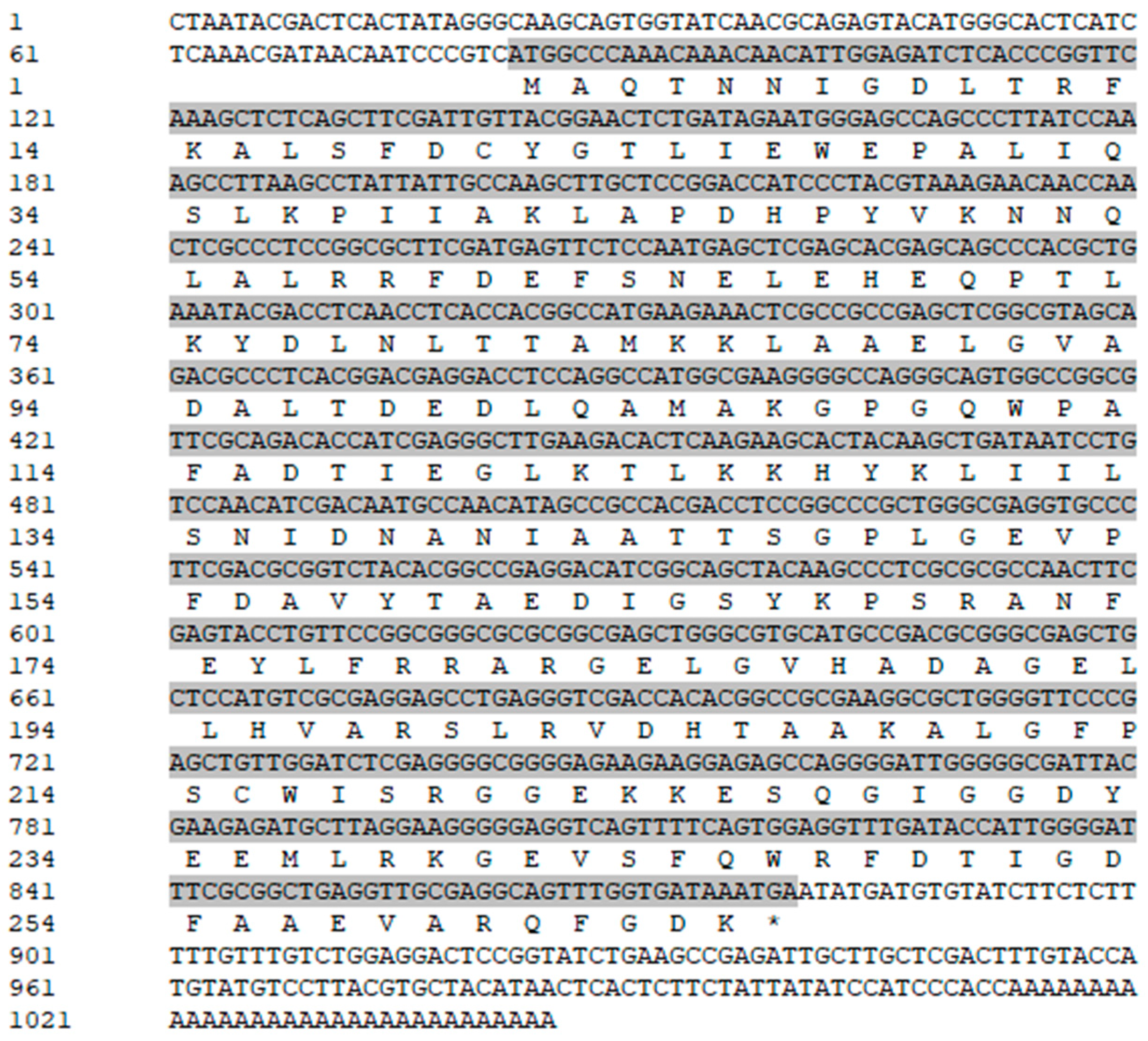 Jof 11 00827 g002 Jof 11 00827 g002