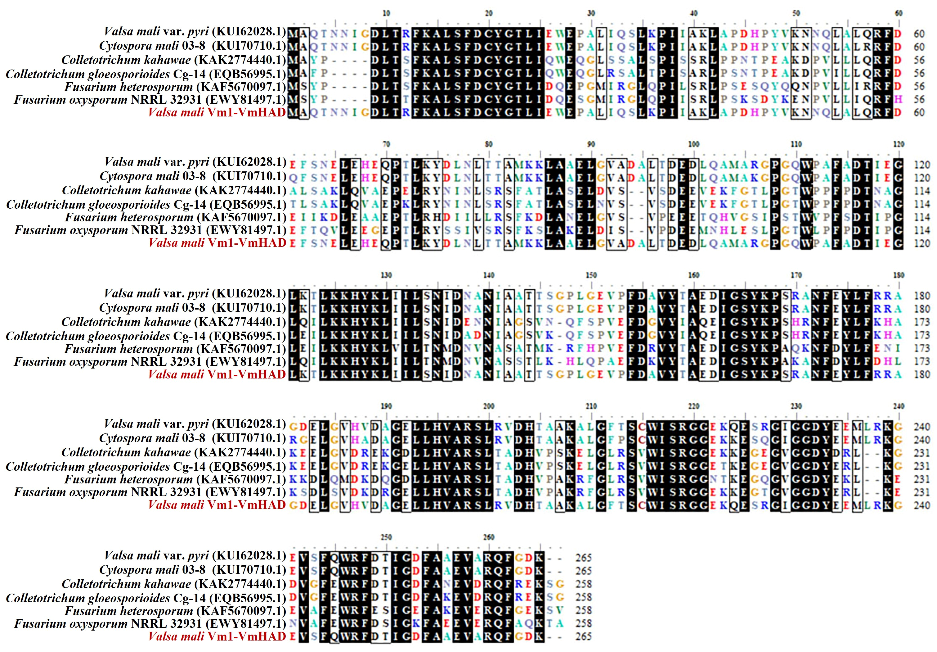 Jof 11 00827 g003 Jof 11 00827 g003