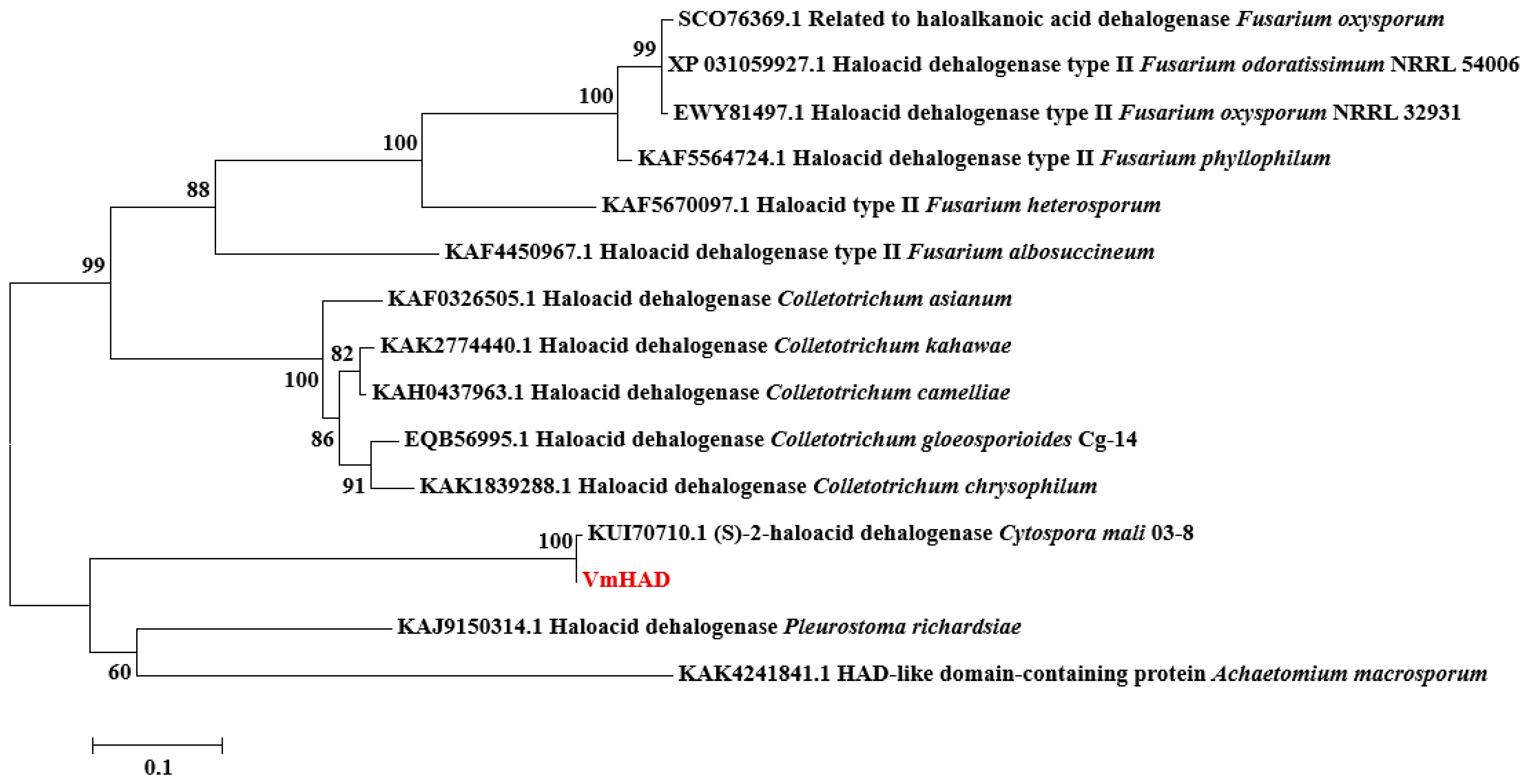Jof 11 00827 g004 Jof 11 00827 g004