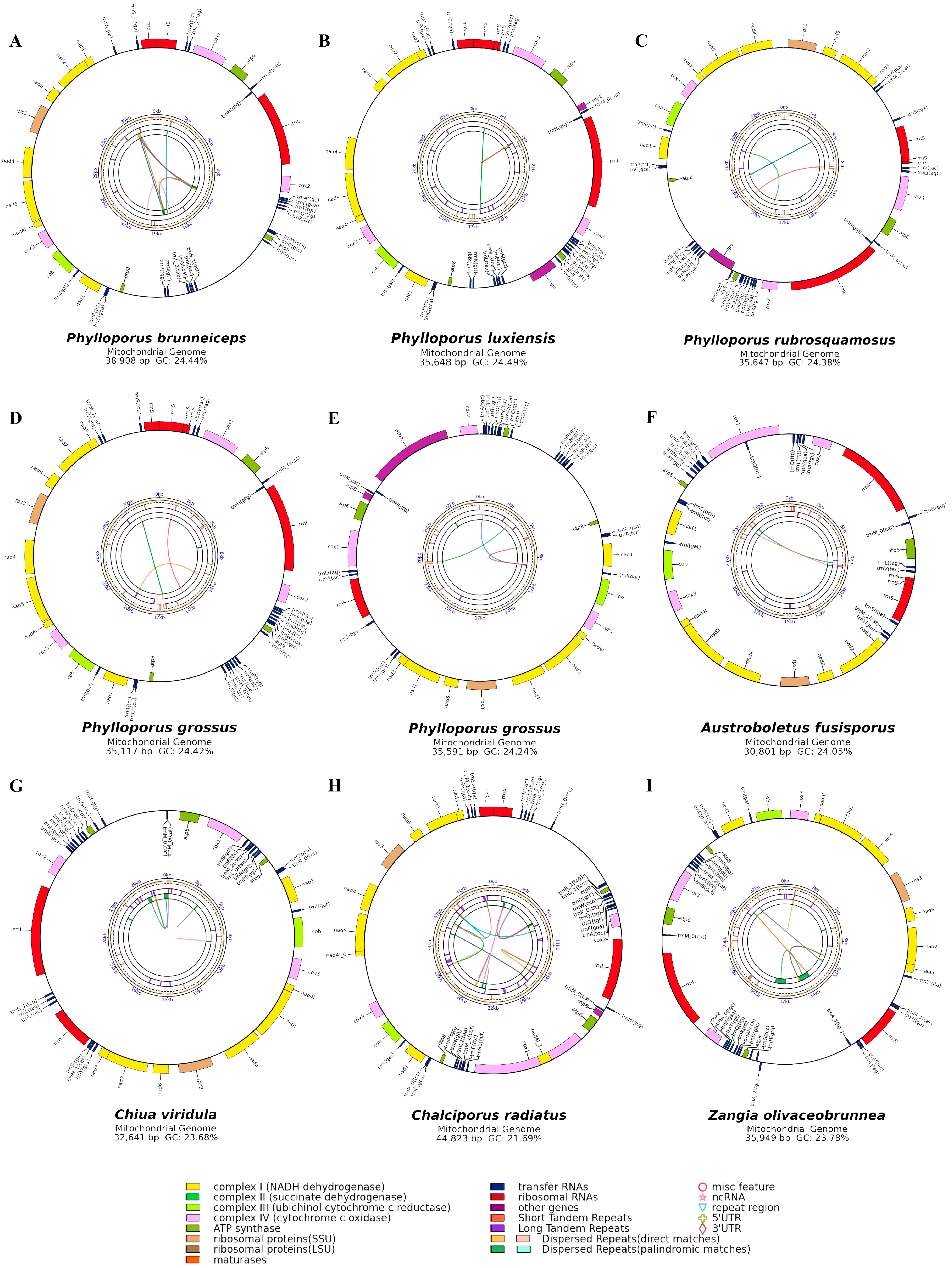 Jof 11 00831 g001 Jof 11 00831 g001