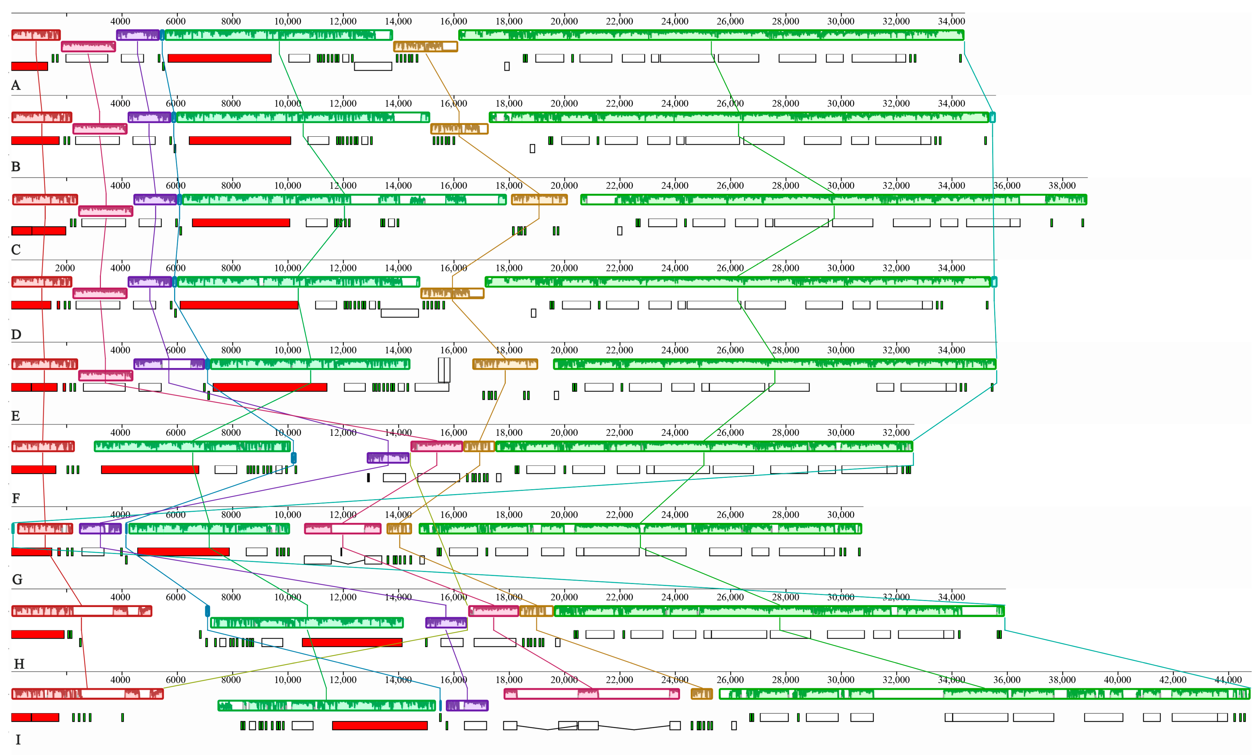 Jof 11 00831 g003 Jof 11 00831 g003