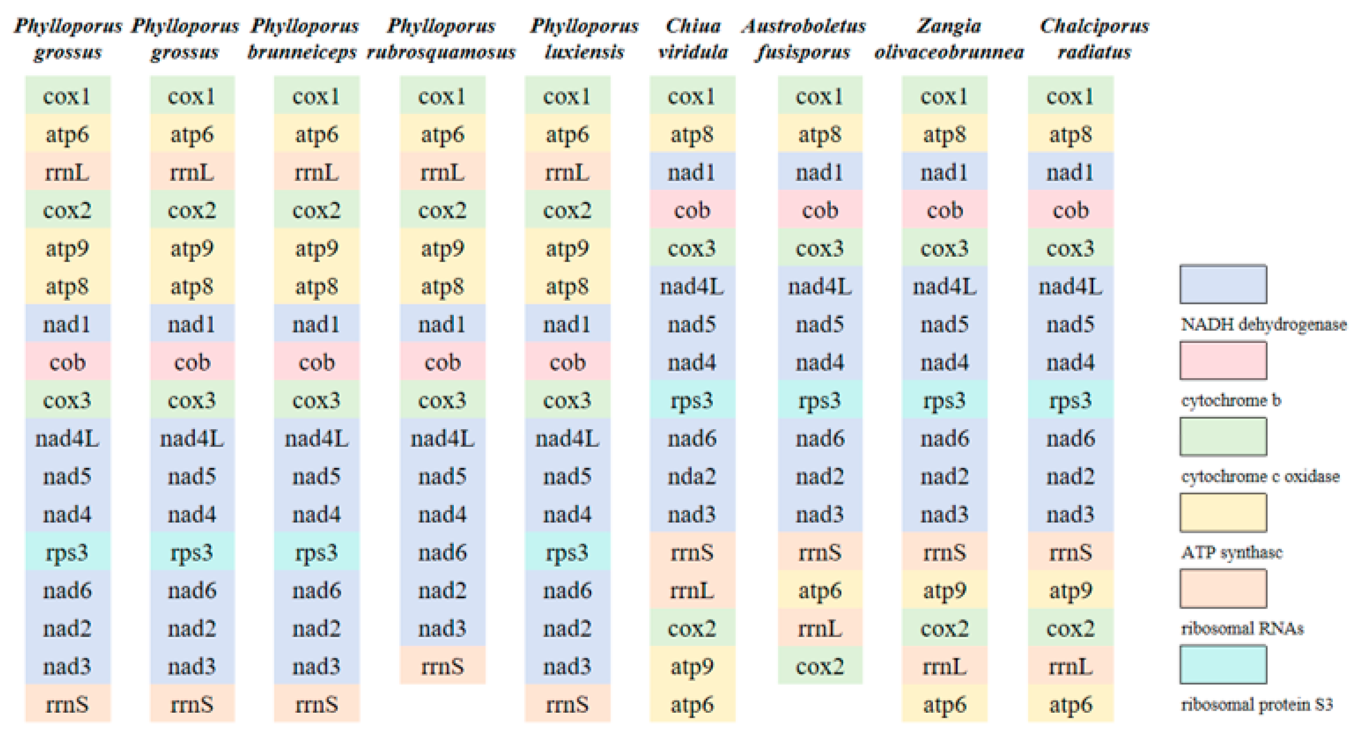 Jof 11 00831 g004 Jof 11 00831 g004