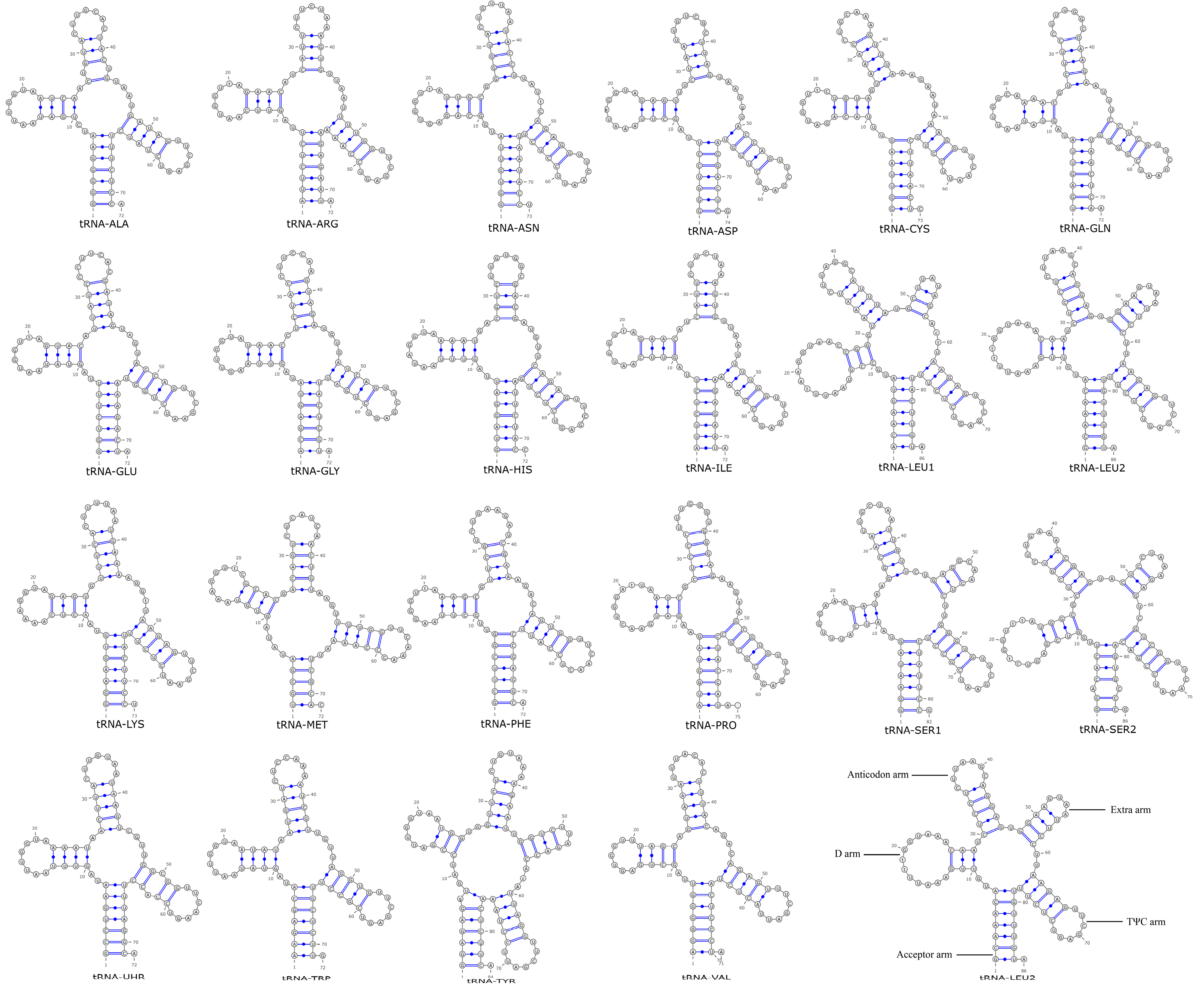 Jof 11 00831 g006 Jof 11 00831 g006