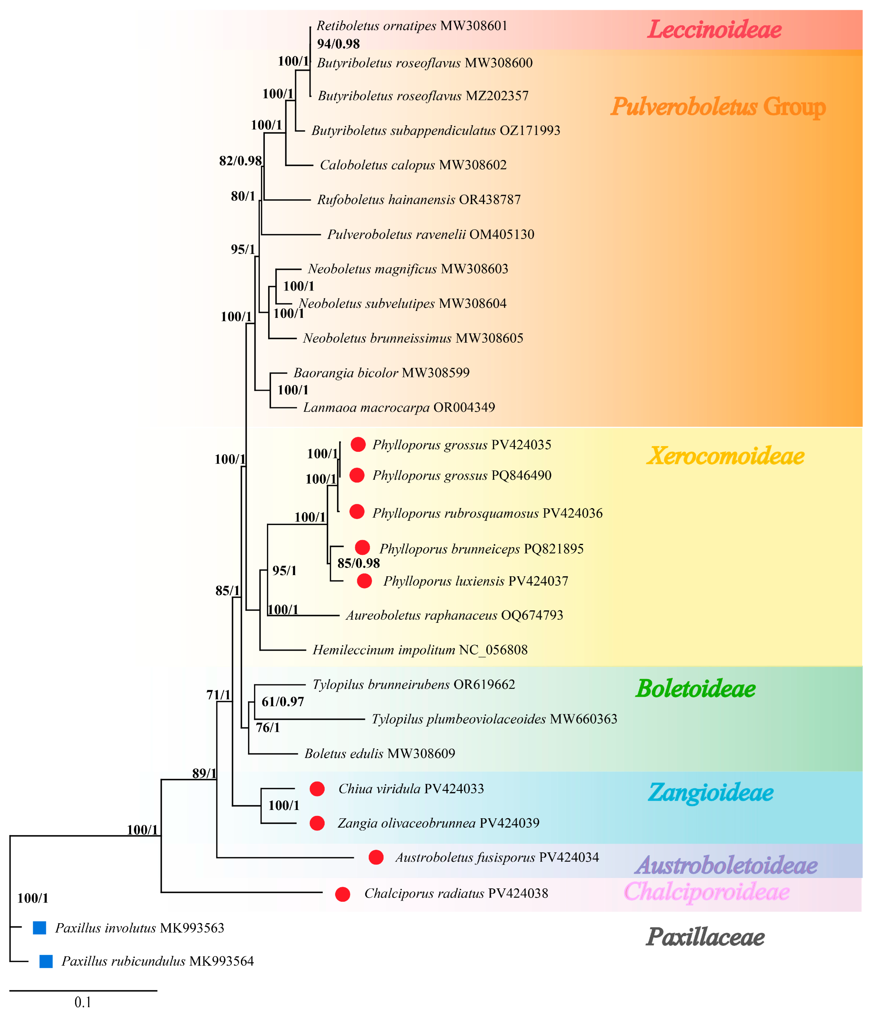 Jof 11 00831 g008 Jof 11 00831 g008