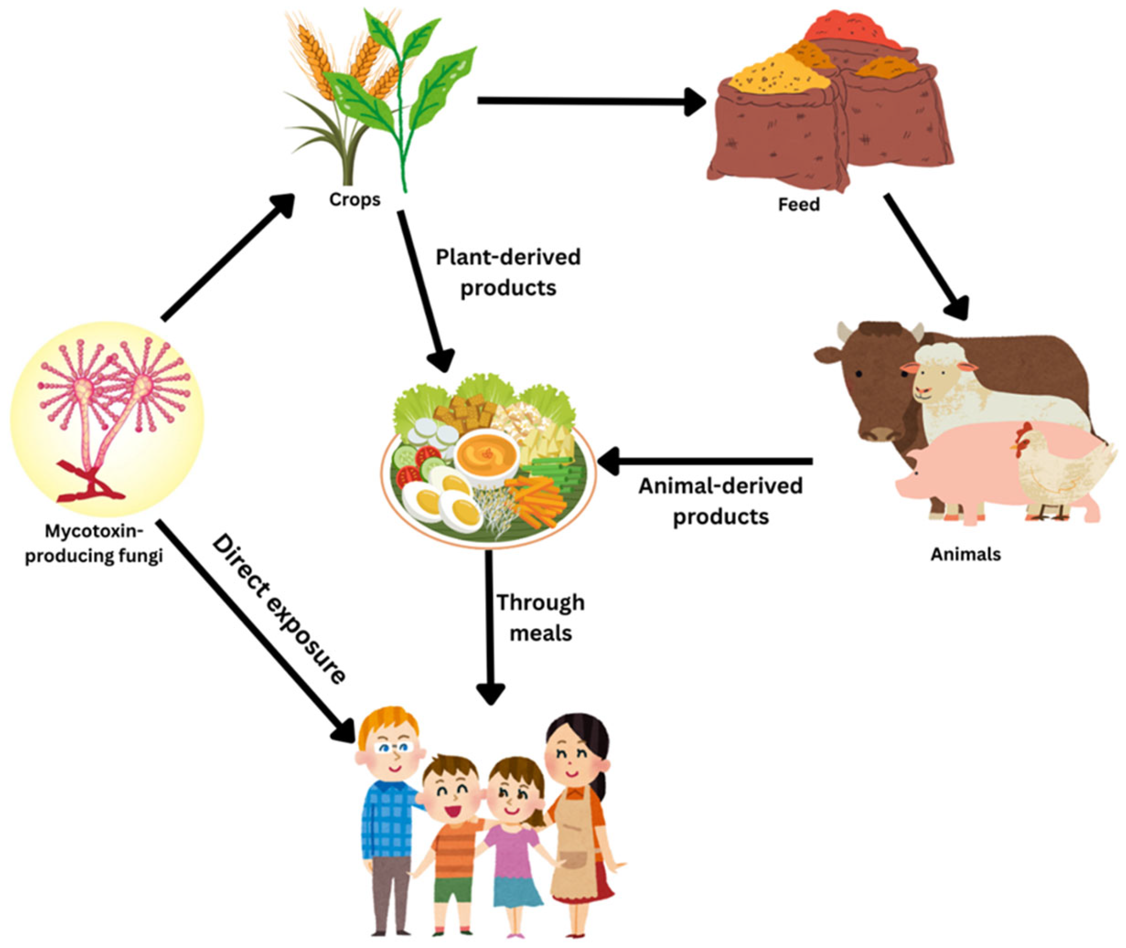 Jof 11 00840 g001 Jof 11 00840 g001