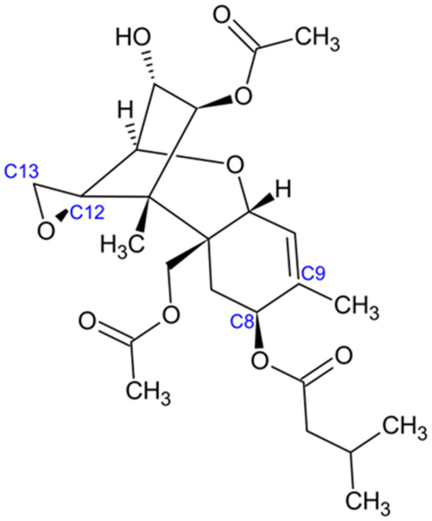 Jof 11 00840 g005 Jof 11 00840 g005