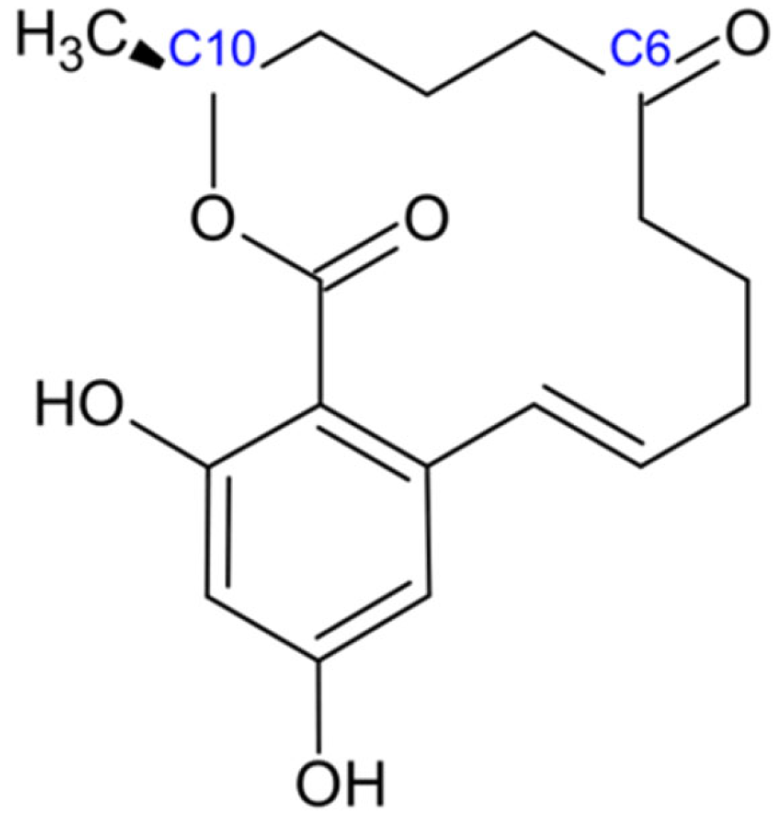 Jof 11 00840 g006 Jof 11 00840 g006