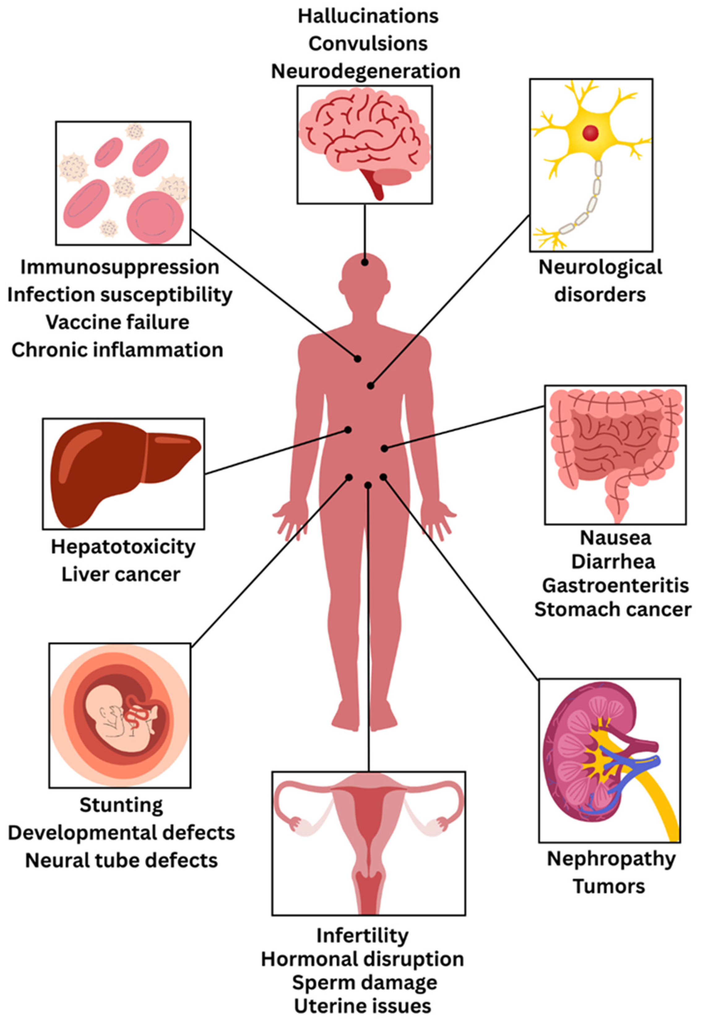 Jof 11 00840 g008 Jof 11 00840 g008