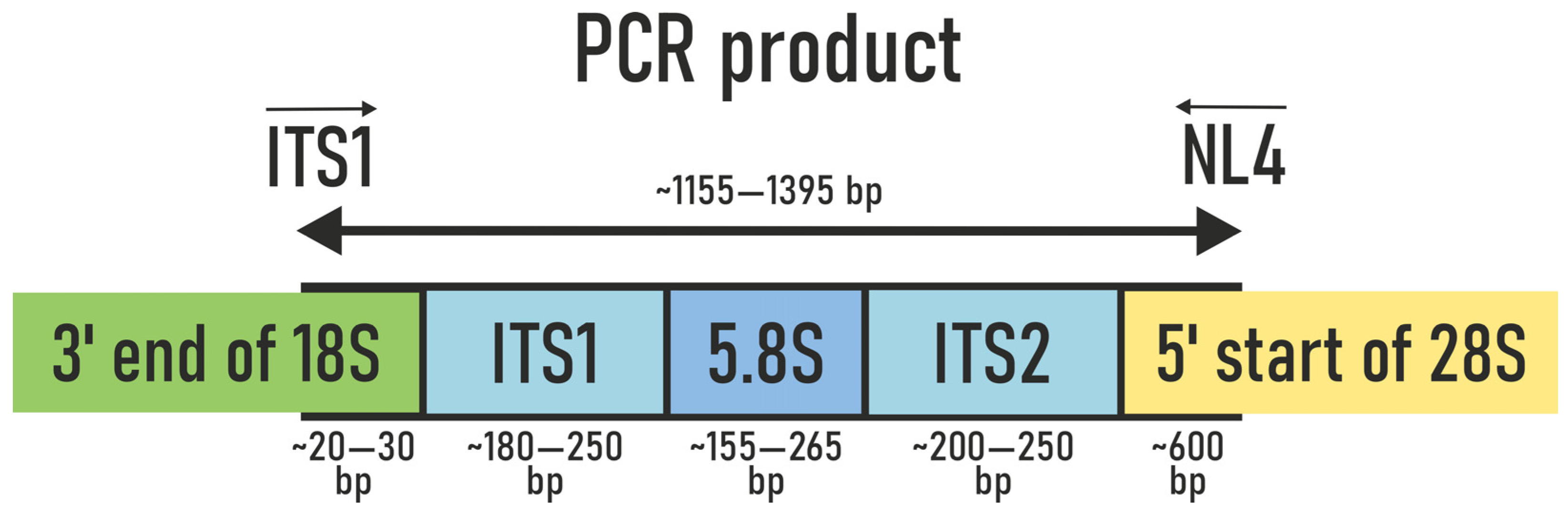 Jof 11 00848 g002 Jof 11 00848 g002