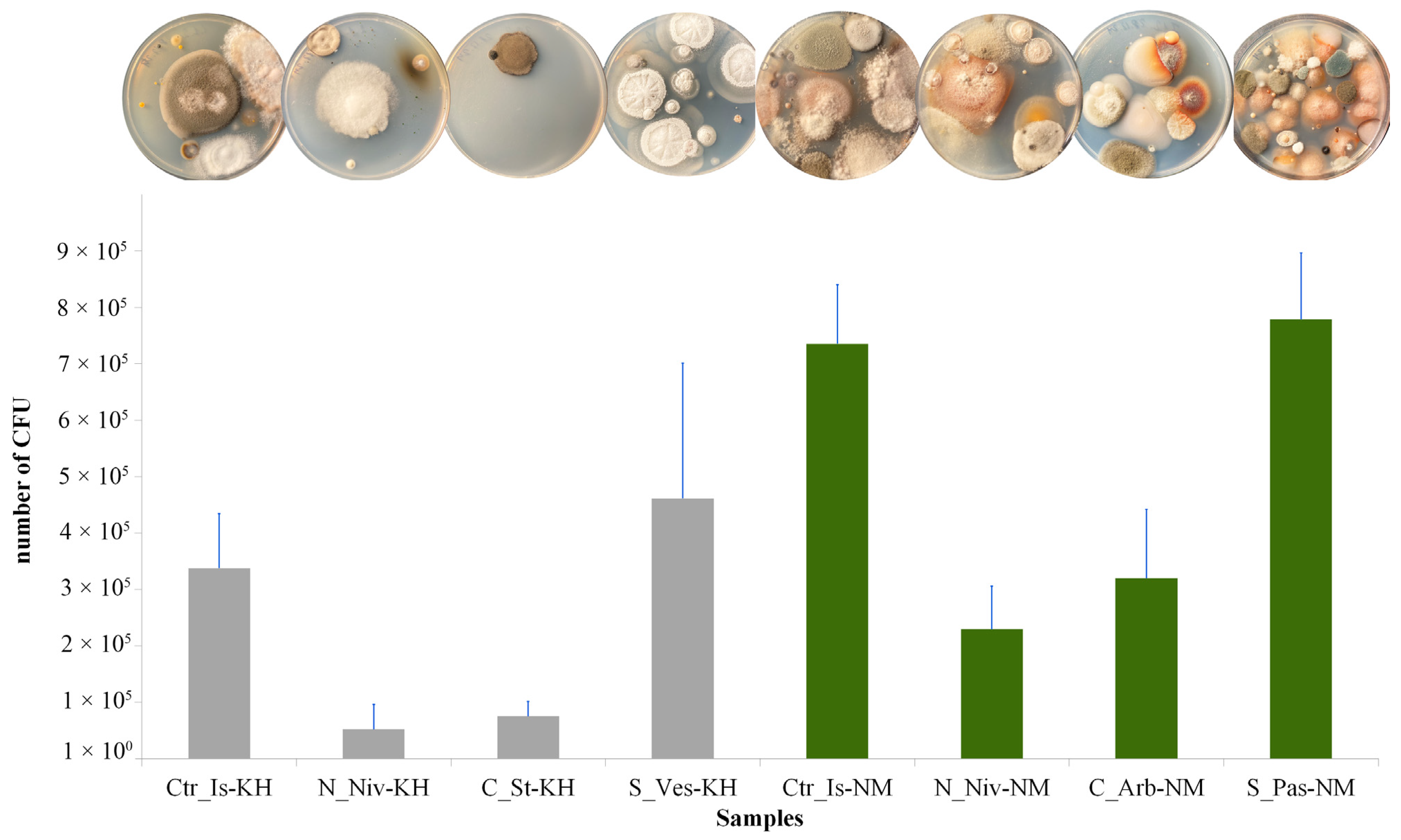 Jof 11 00848 g009 Jof 11 00848 g009
