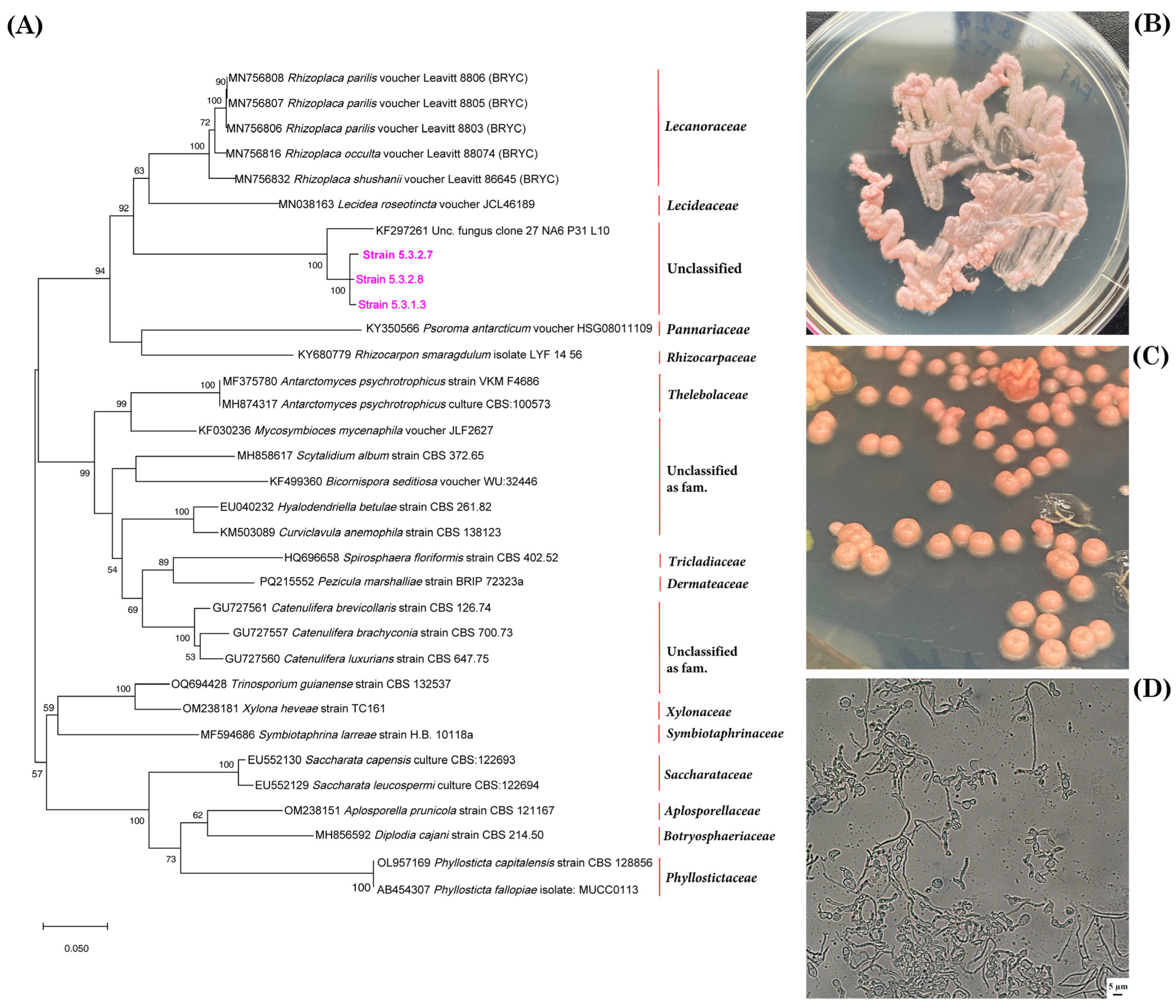 Jof 11 00848 g010 Jof 11 00848 g010