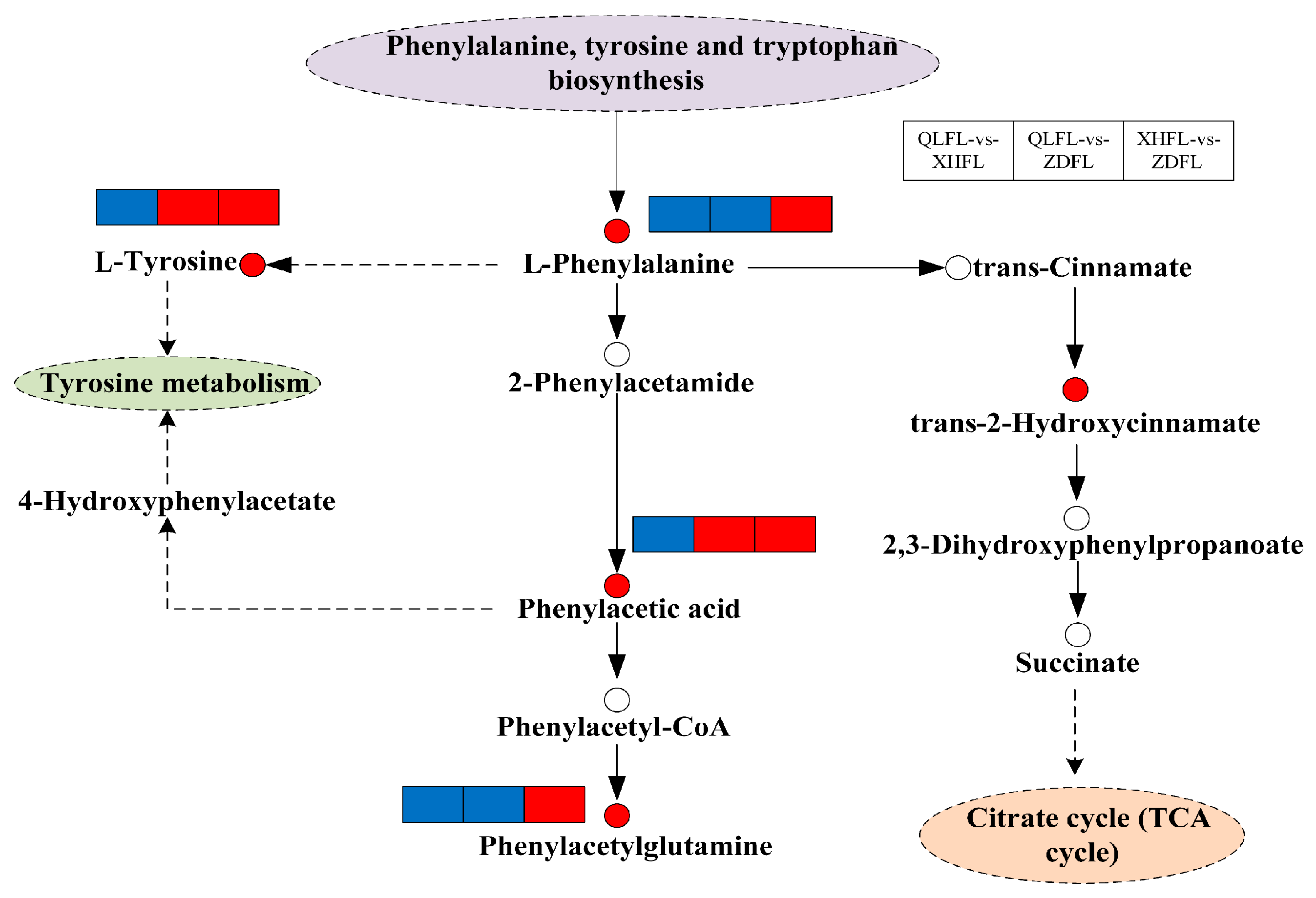 Jof 11 00854 g001 Jof 11 00854 g001