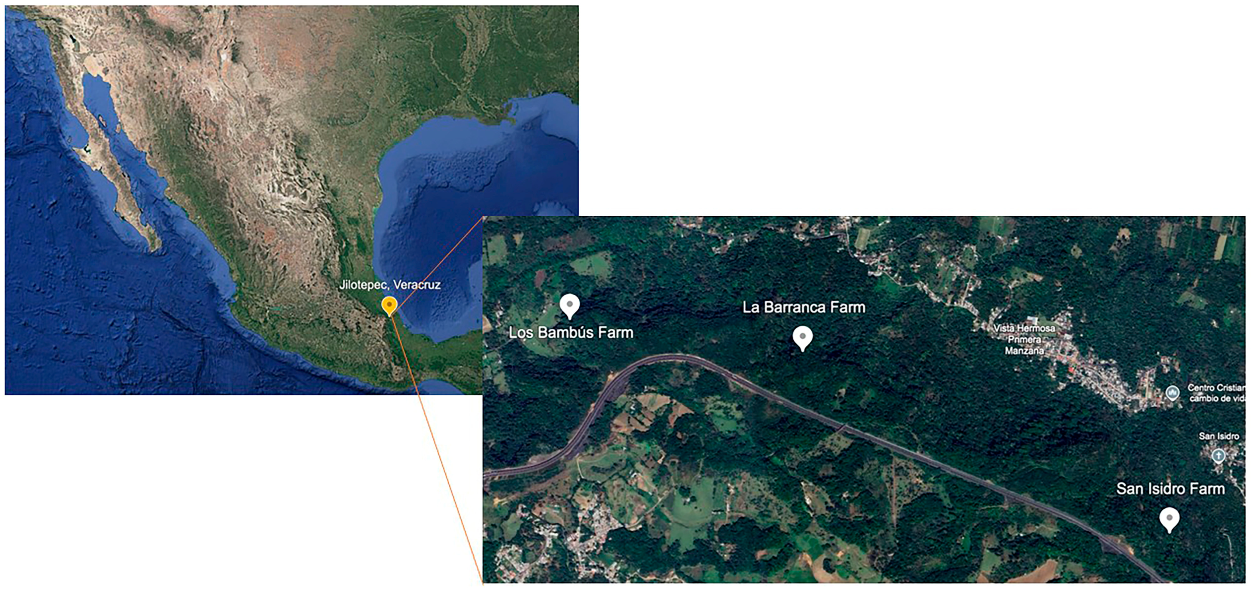 Jof 11 00856 g001 Jof 11 00856 g001