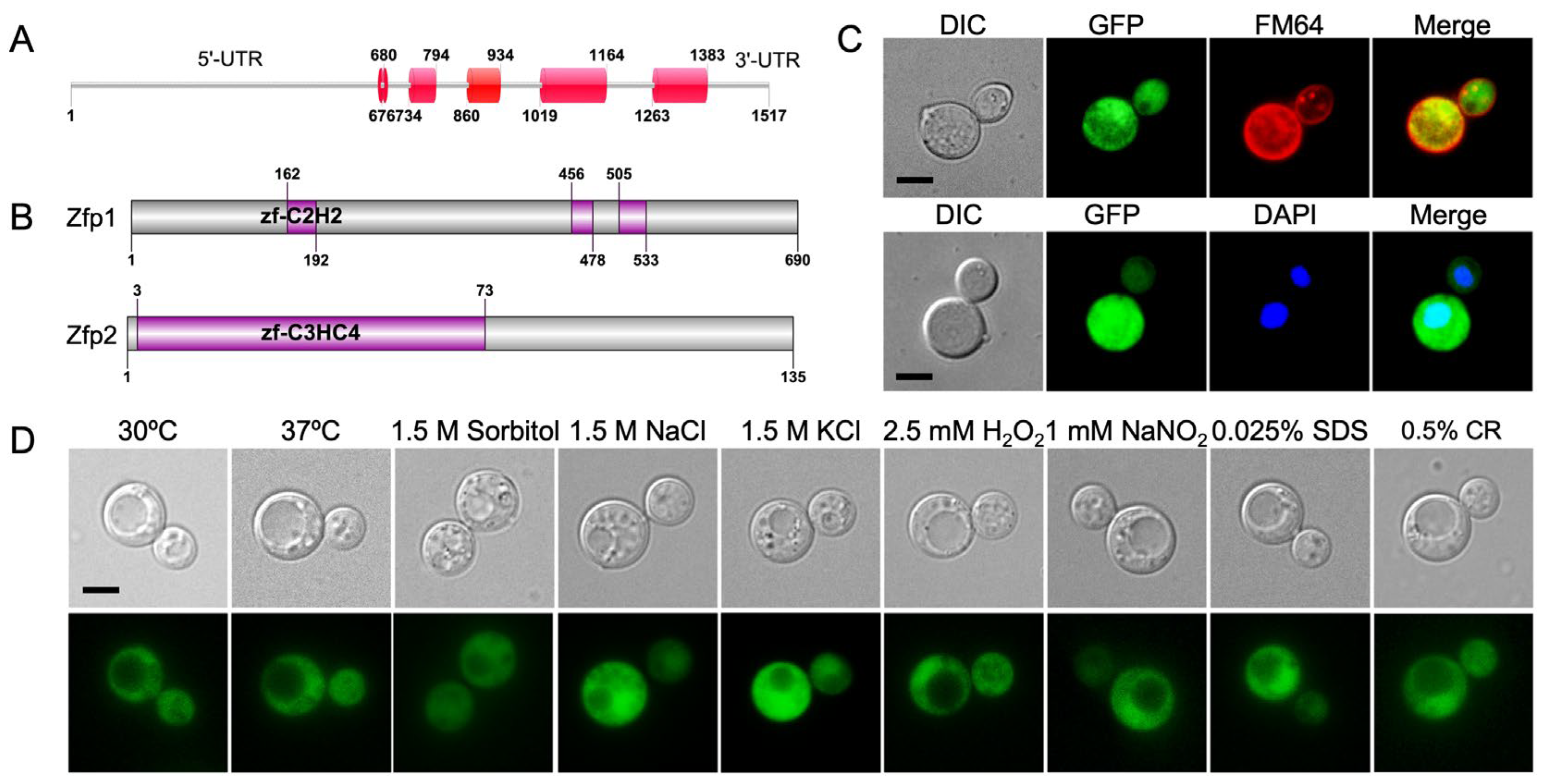 Jof 11 00868 g001 Jof 11 00868 g001