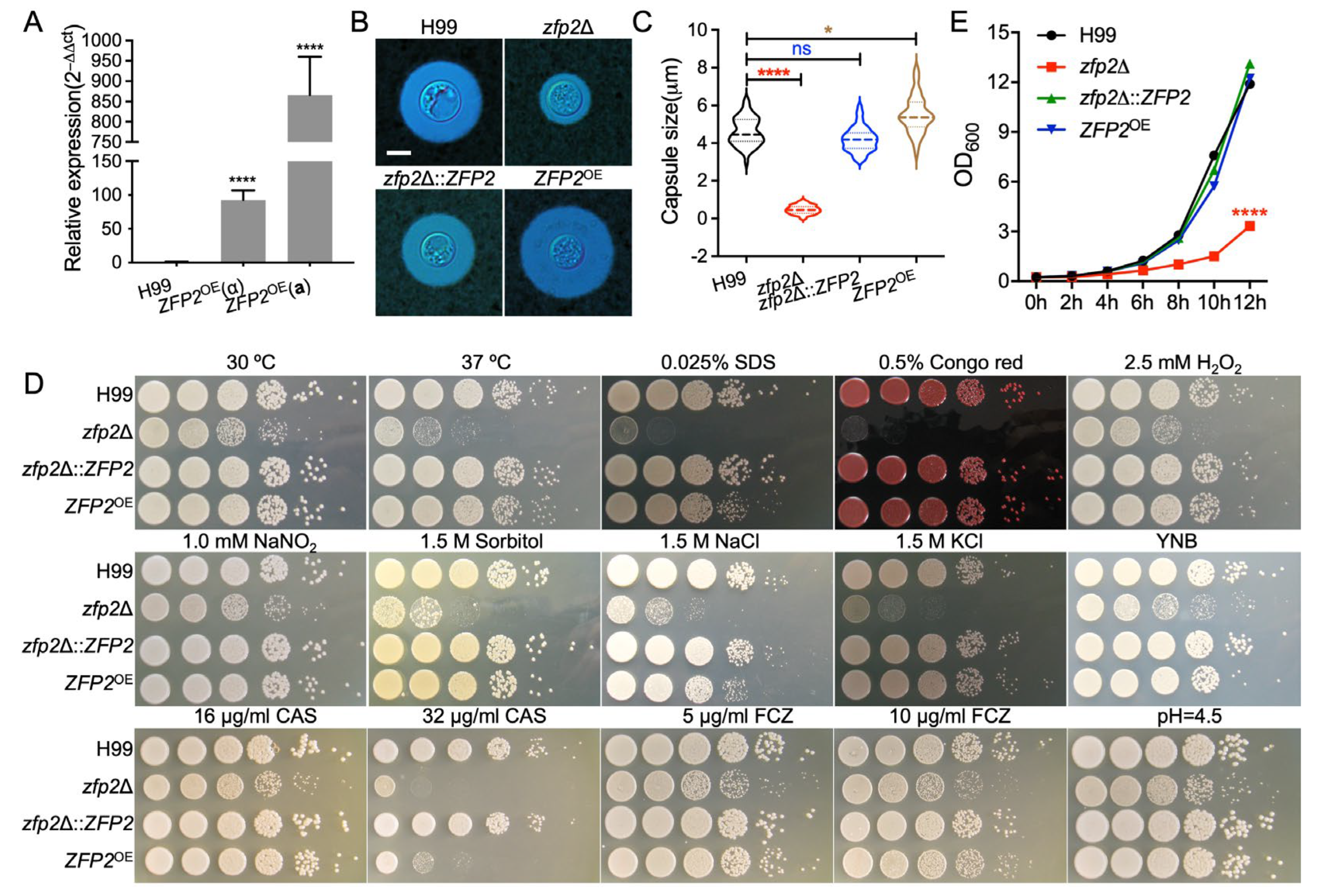 Jof 11 00868 g002 Jof 11 00868 g002