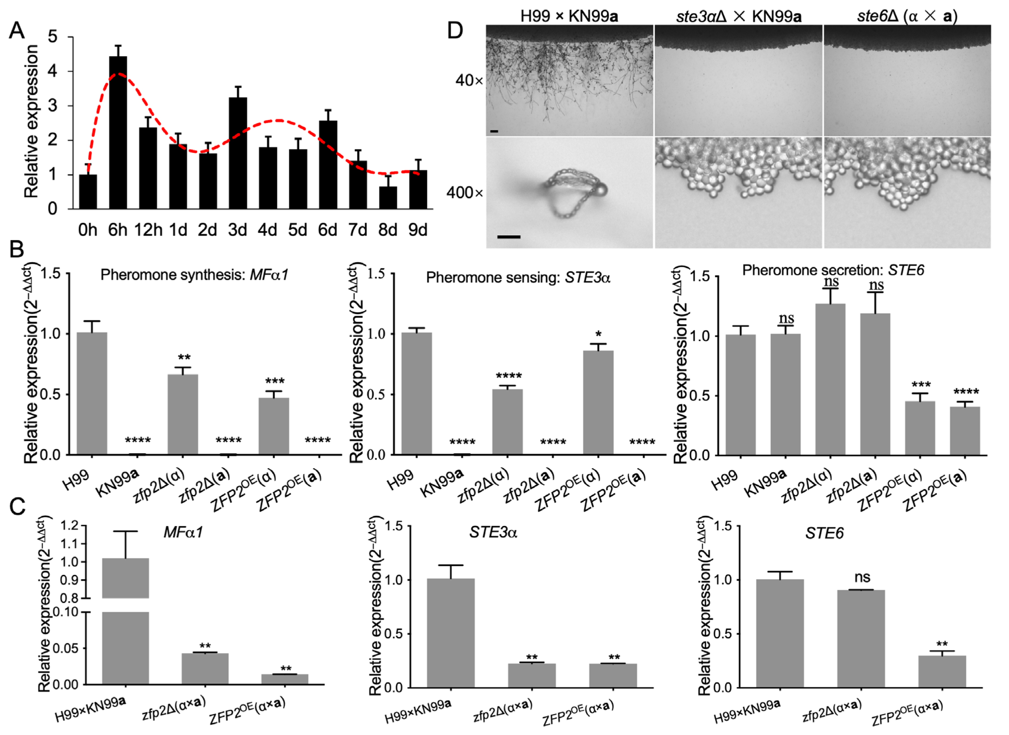 Jof 11 00868 g004 Jof 11 00868 g004