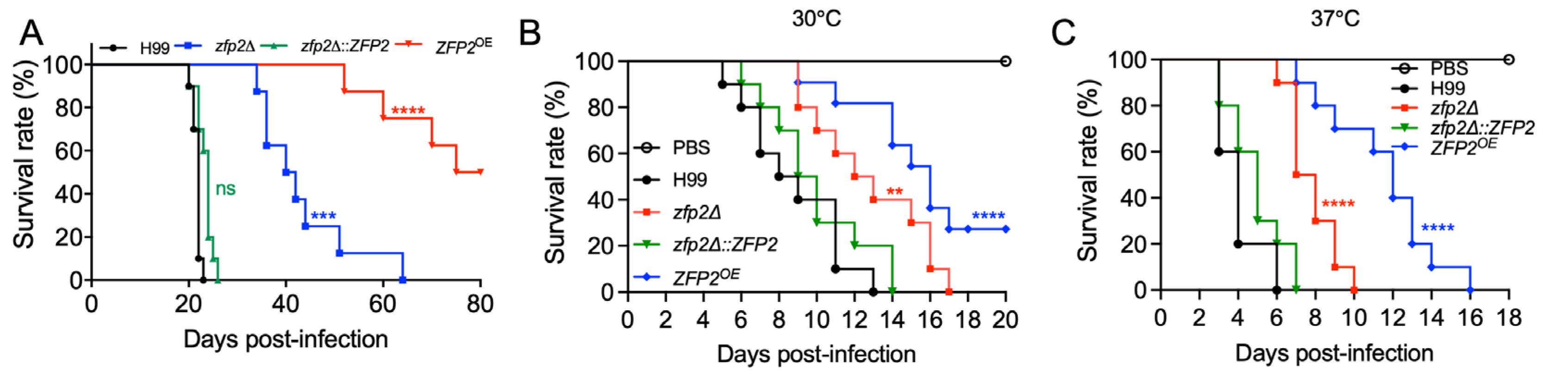 Jof 11 00868 g005 Jof 11 00868 g005