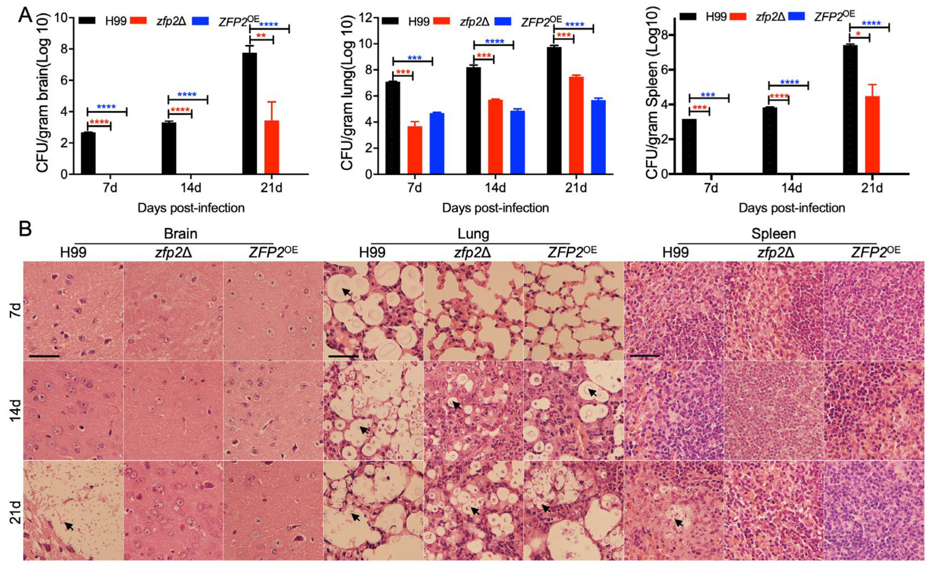 Jof 11 00868 g006 Jof 11 00868 g006