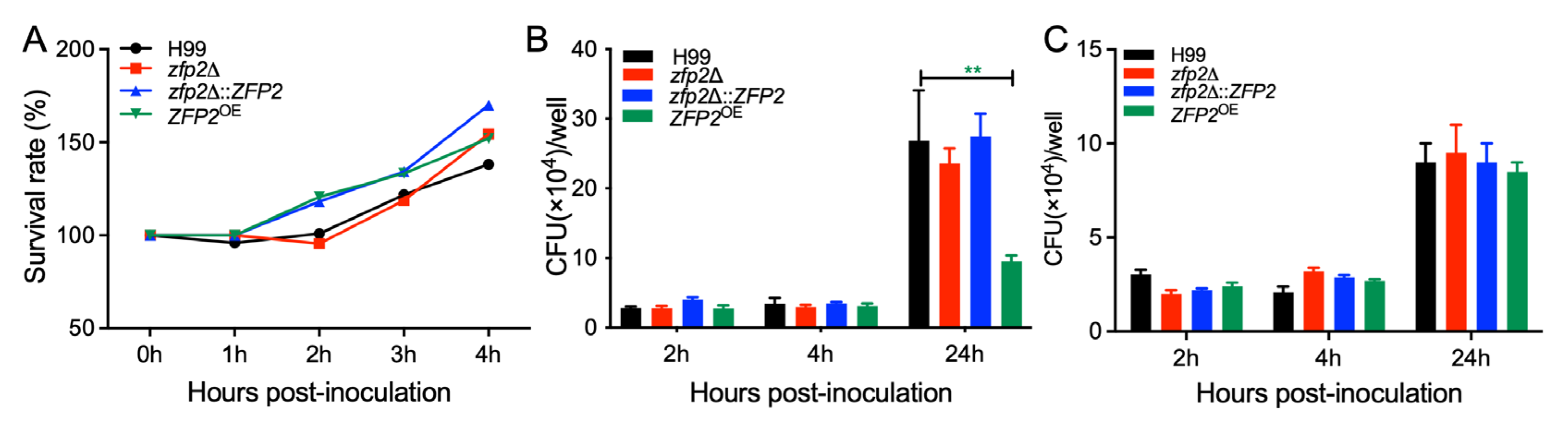 Jof 11 00868 g007 Jof 11 00868 g007