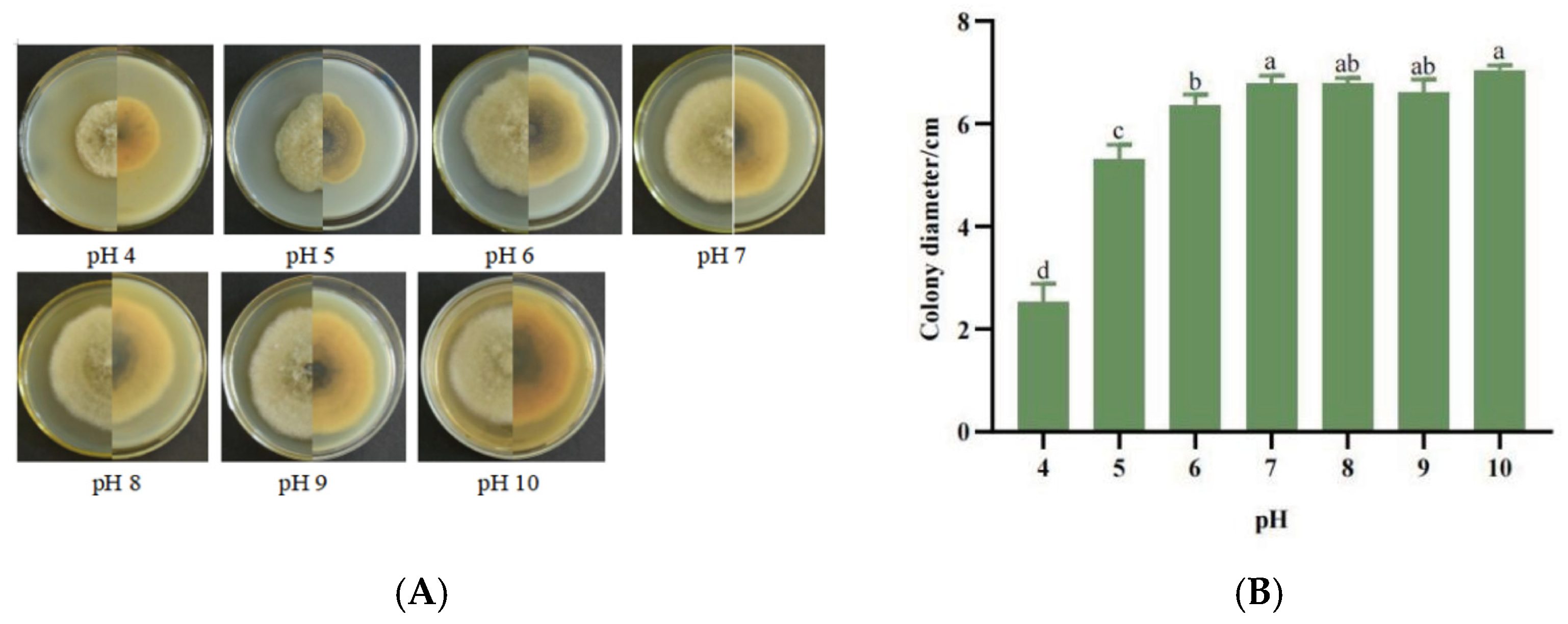 Jof 11 00872 g005 Jof 11 00872 g005
