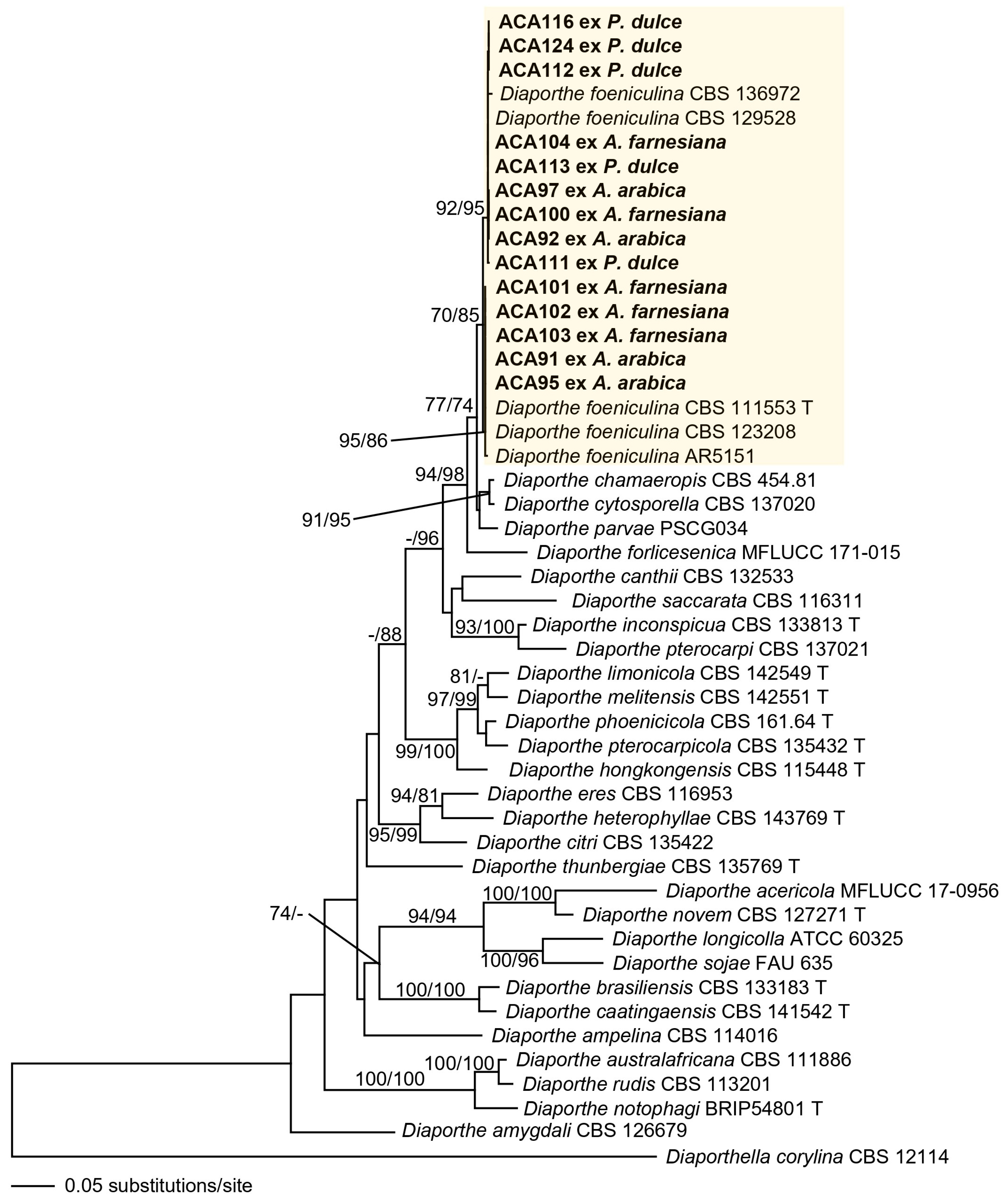 Jof 11 00874 g002 Jof 11 00874 g002