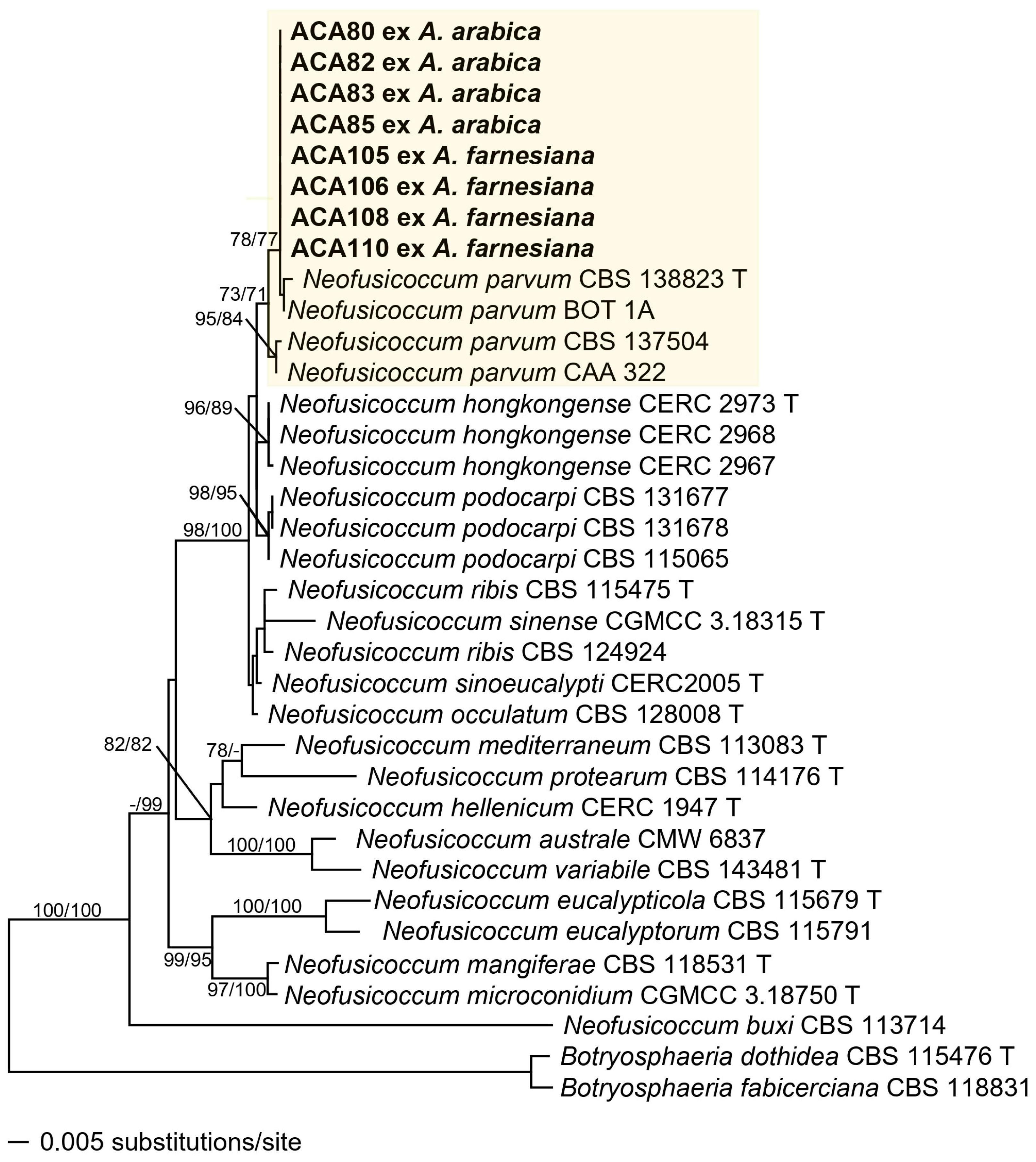 Jof 11 00874 g003 Jof 11 00874 g003