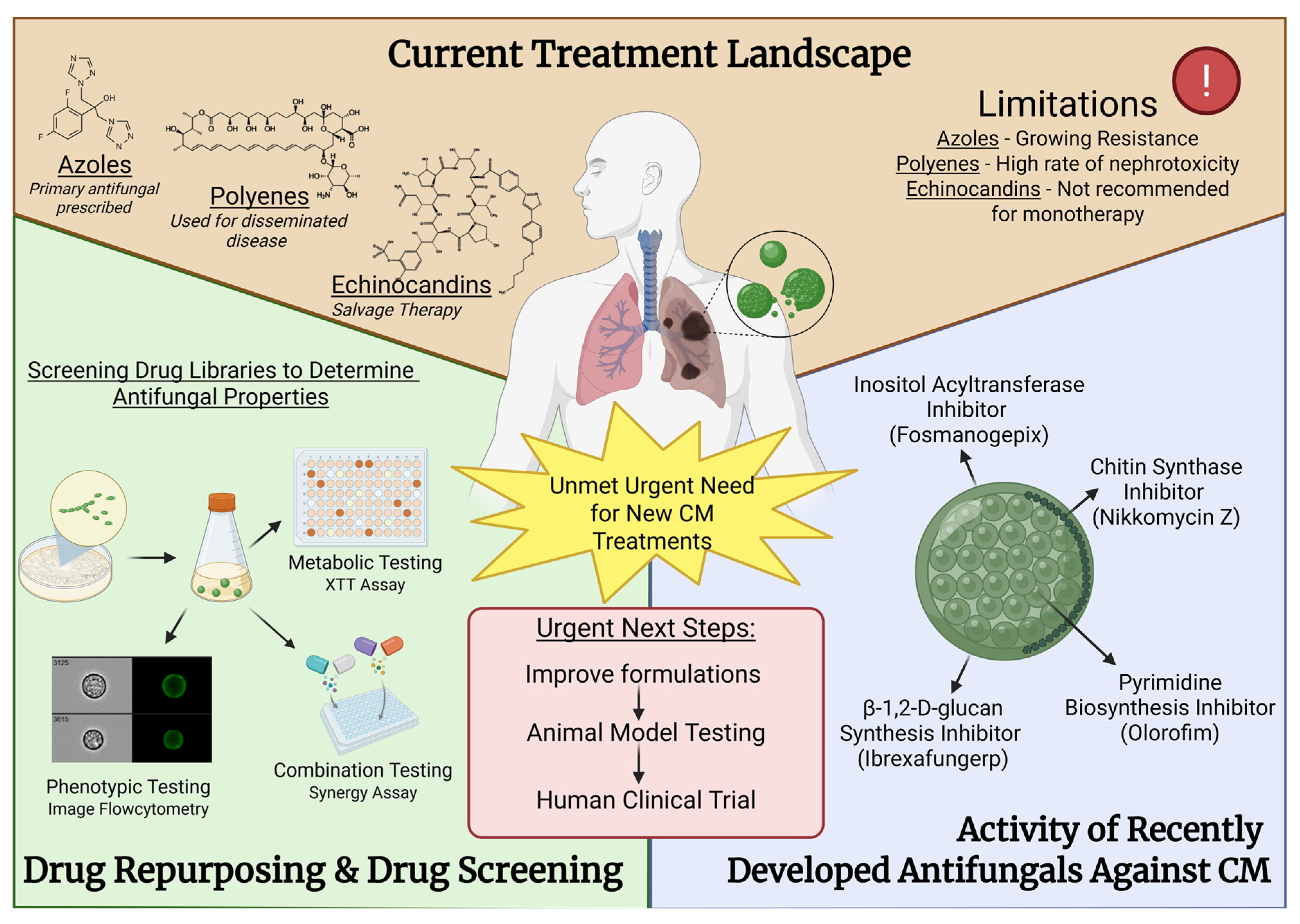 Jof 11 00875 g001 Jof 11 00875 g001