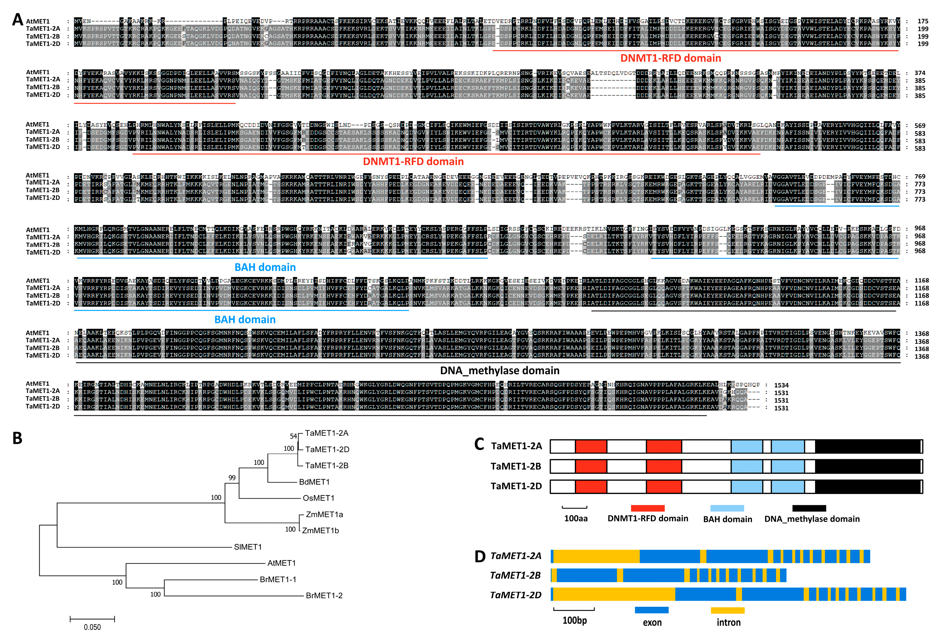 Jof 11 00876 g001 Jof 11 00876 g001