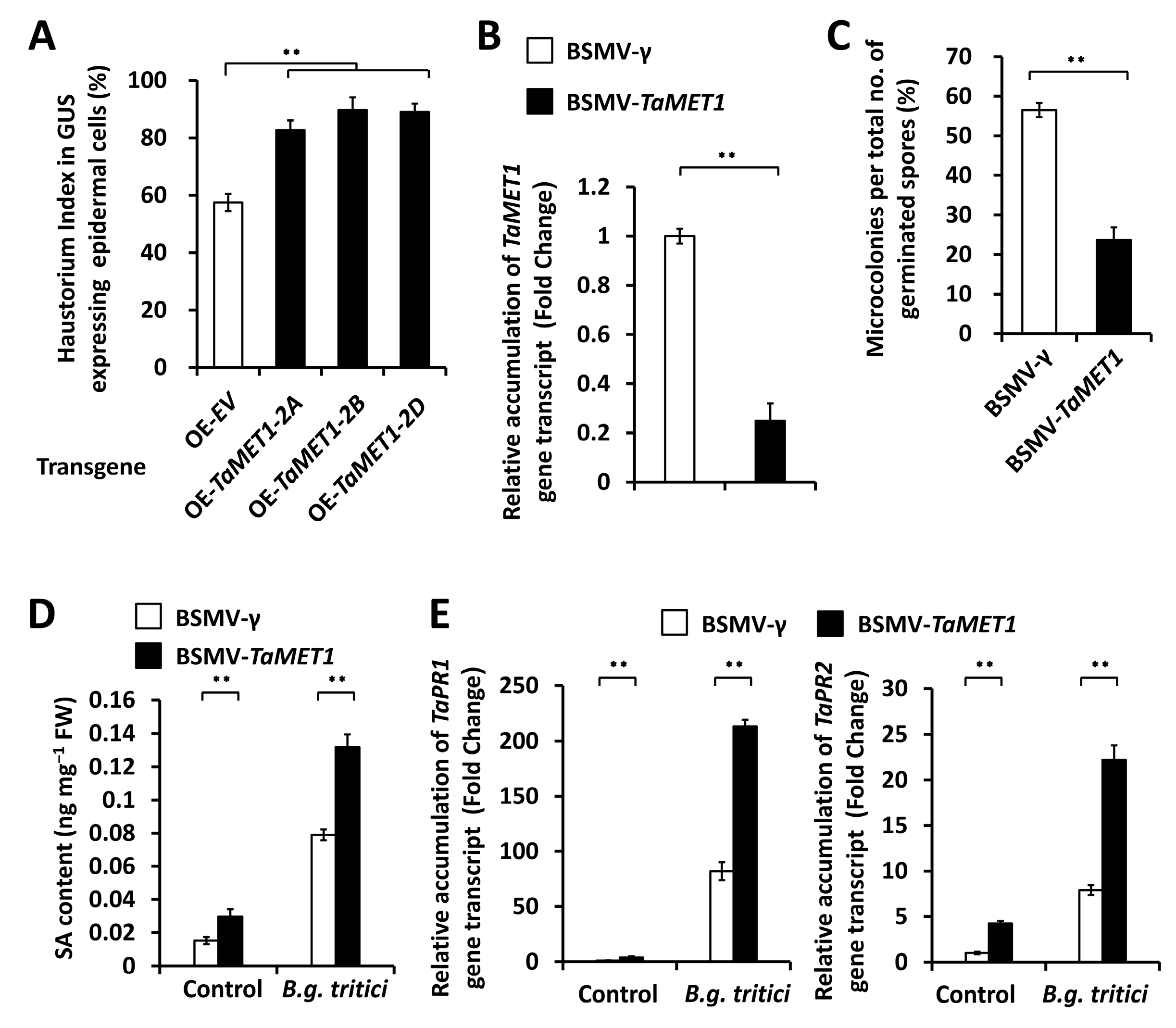 Jof 11 00876 g002 Jof 11 00876 g002