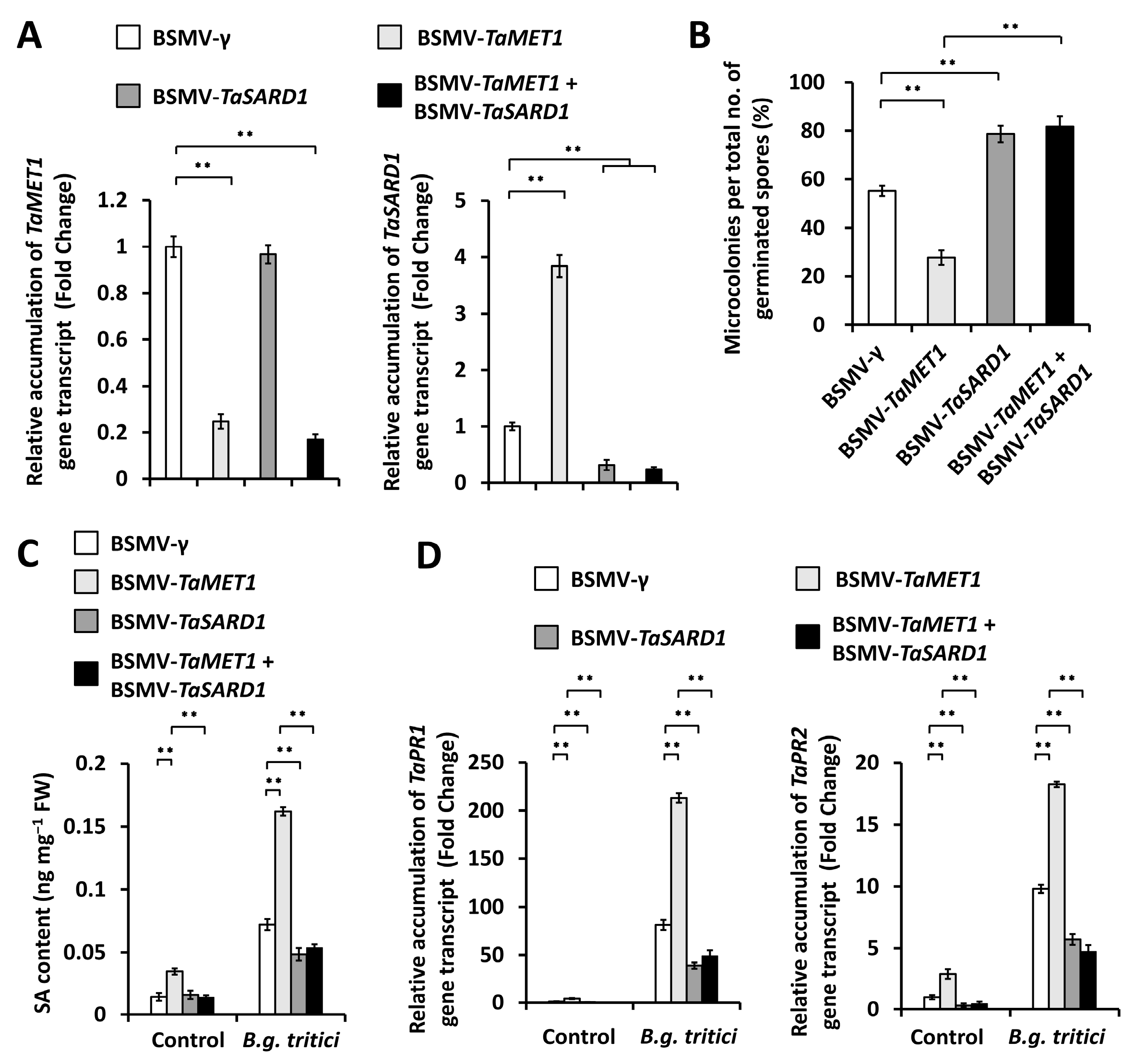Jof 11 00876 g006 Jof 11 00876 g006