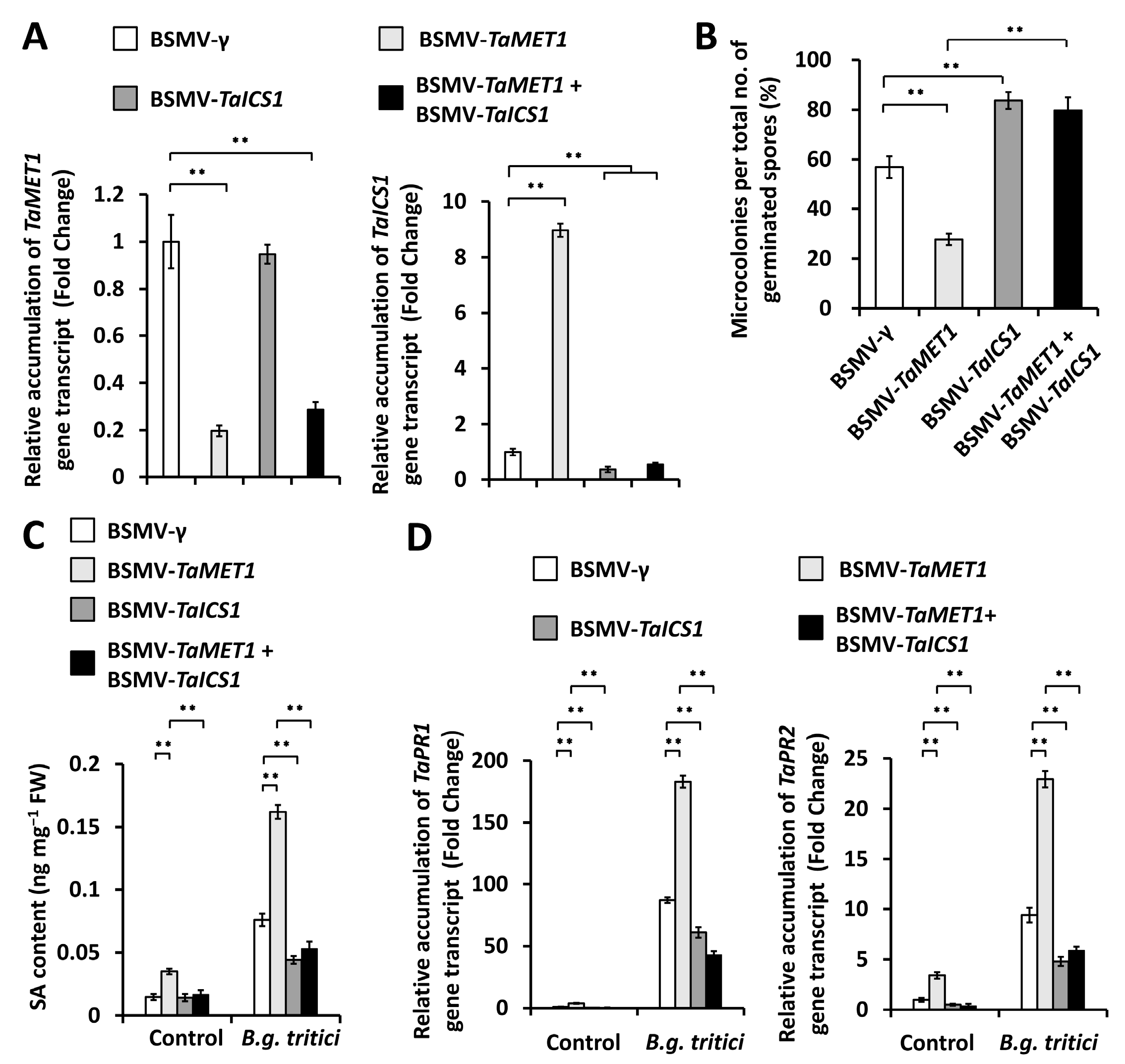 Jof 11 00876 g007 Jof 11 00876 g007