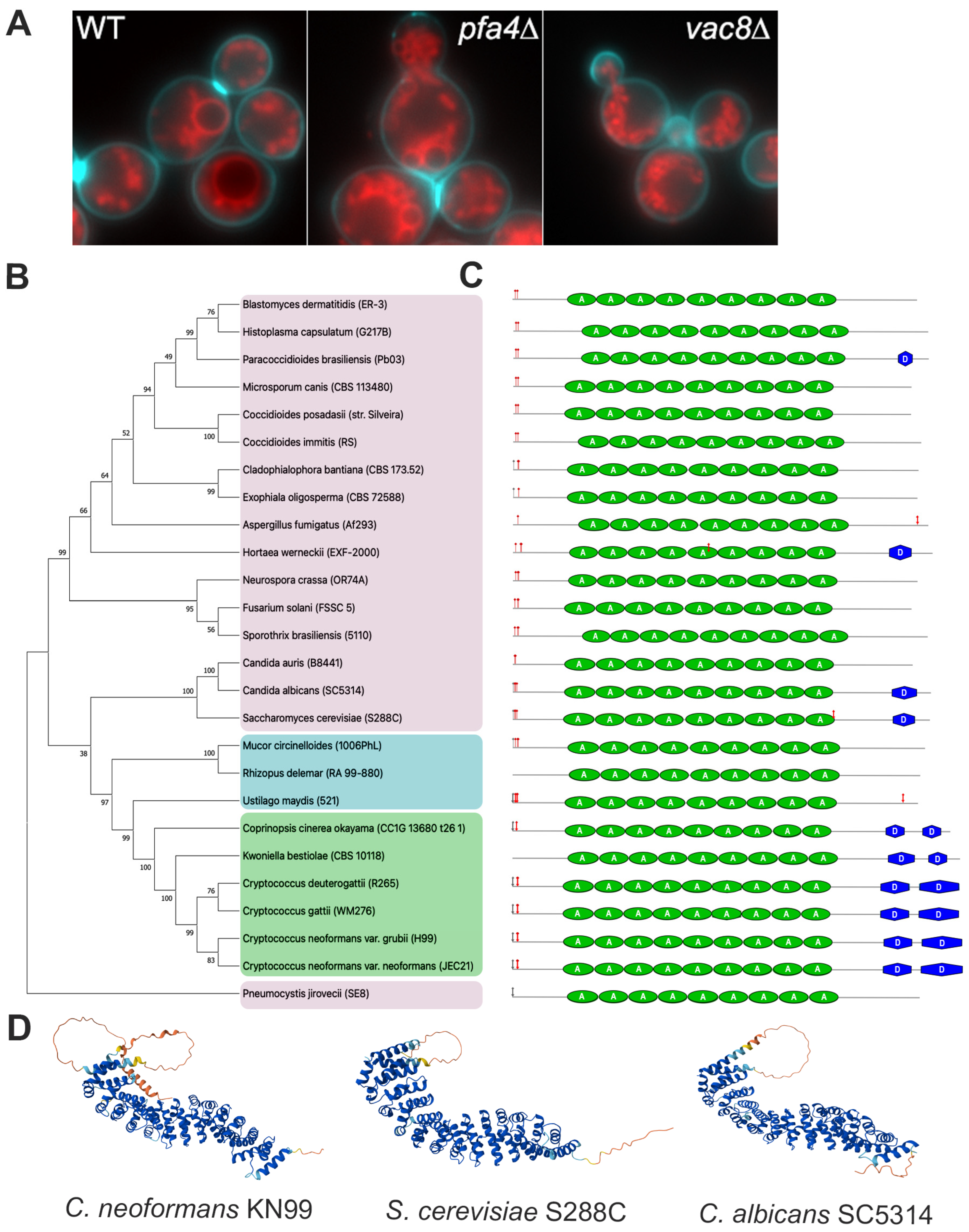 Jof 11 00877 g001 Jof 11 00877 g001
