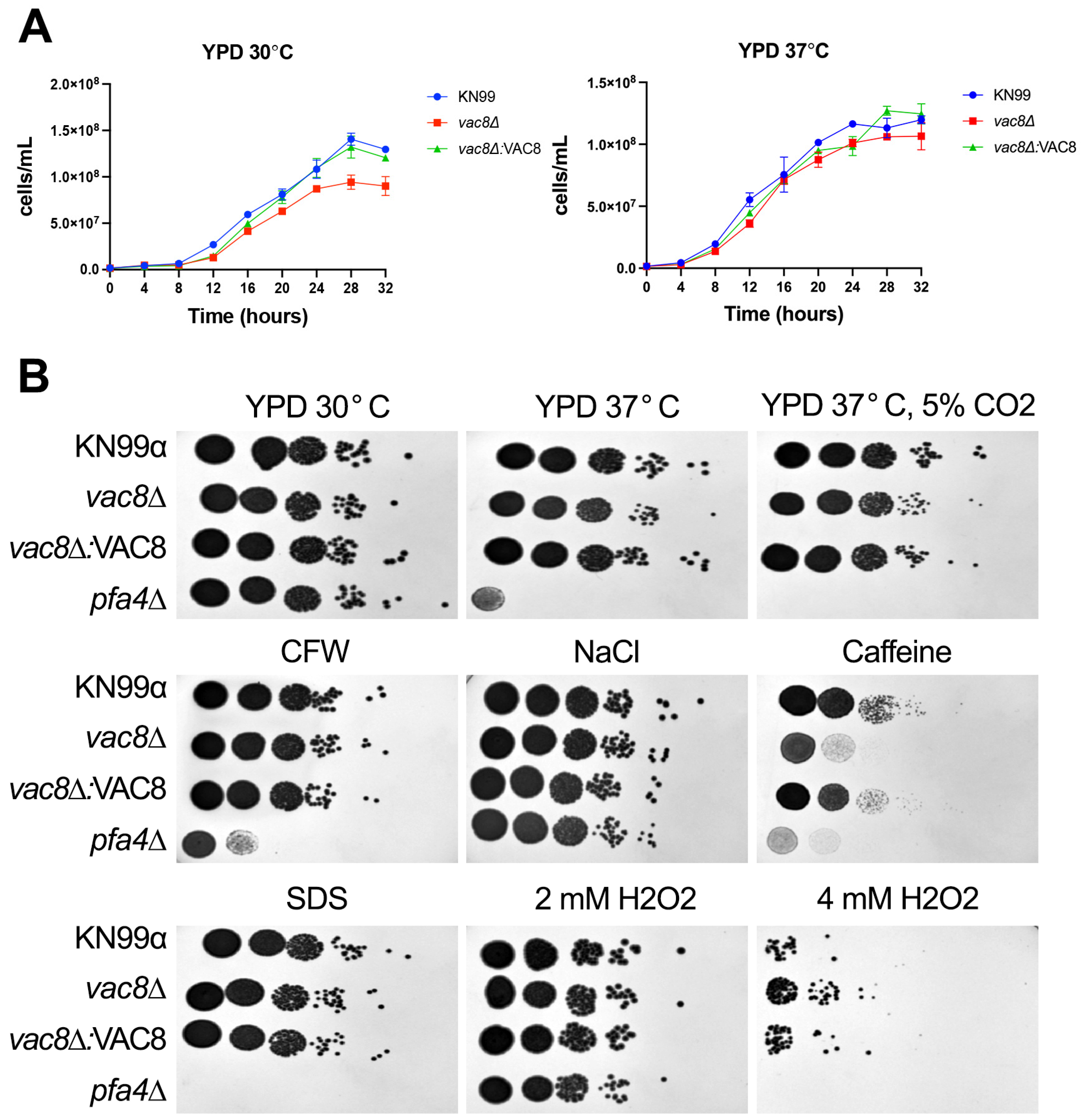 Jof 11 00877 g003 Jof 11 00877 g003