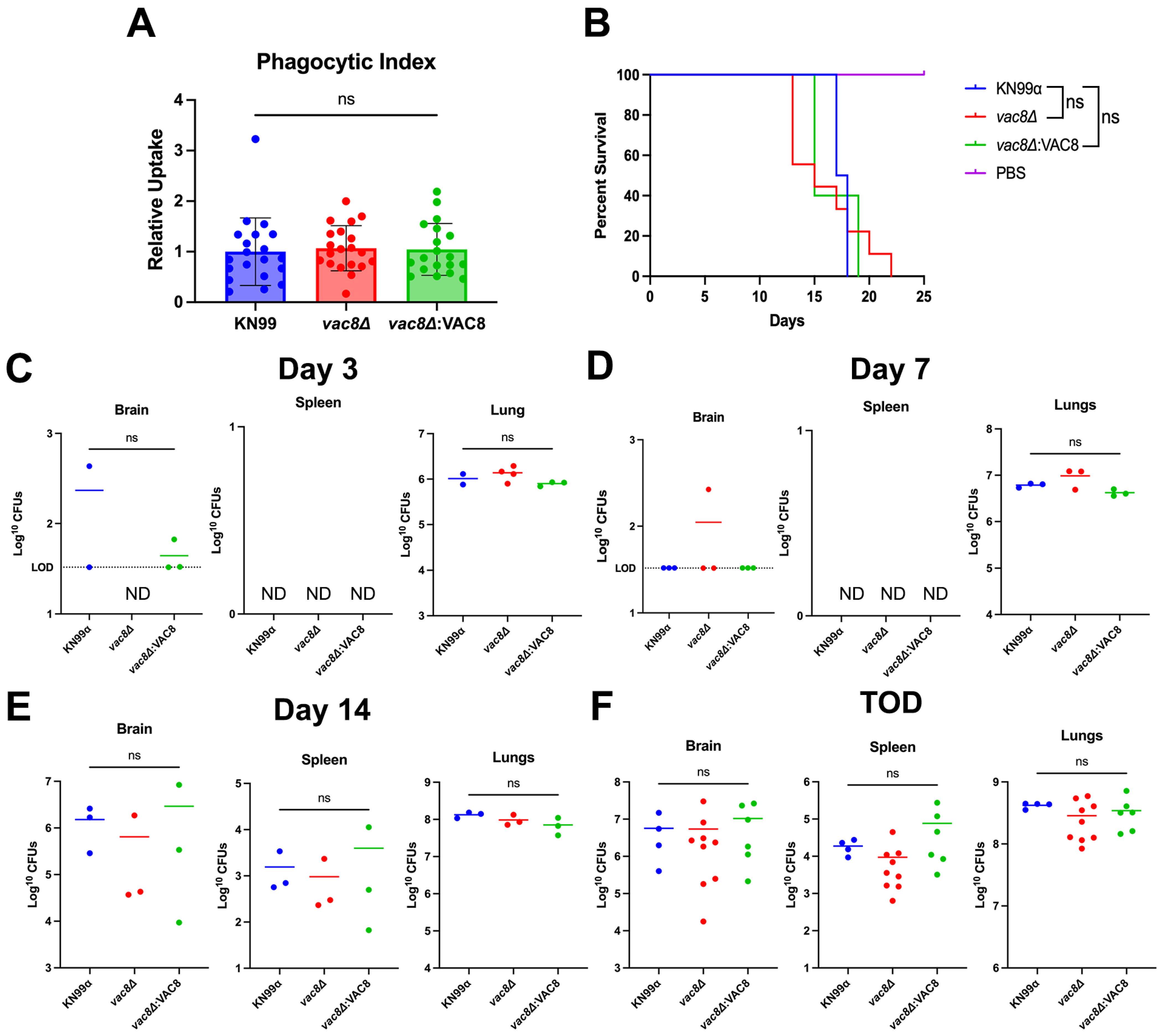 Jof 11 00877 g008 Jof 11 00877 g008