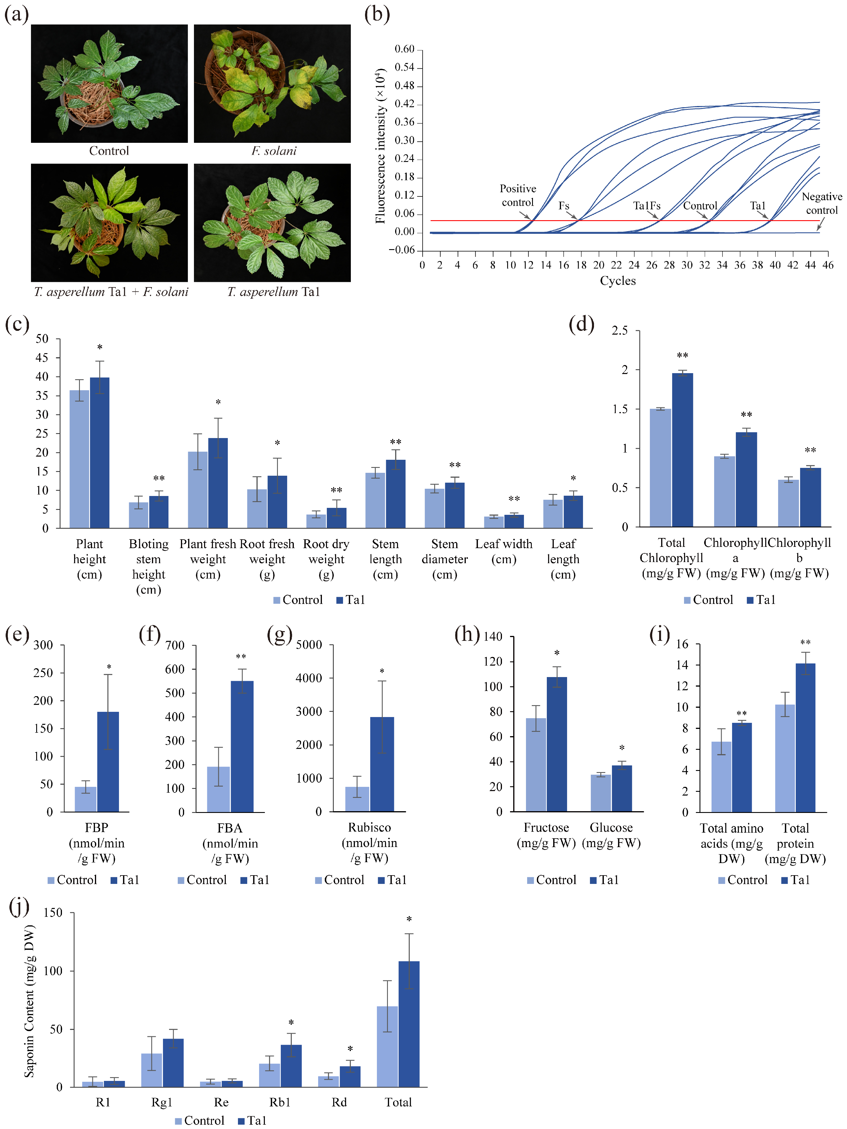 Jof 11 00879 g003 Jof 11 00879 g003