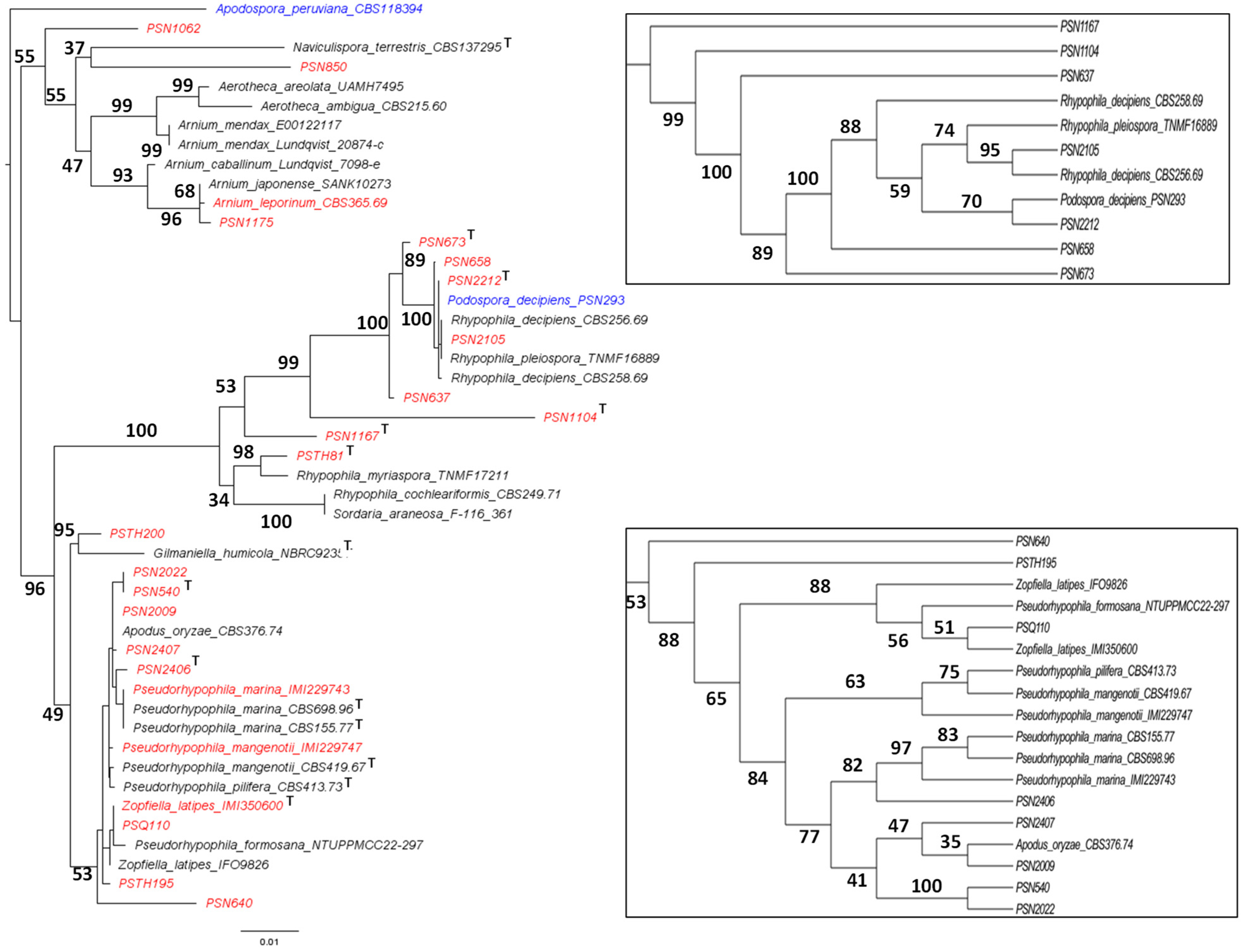 Jof 11 00880 g001 Jof 11 00880 g001