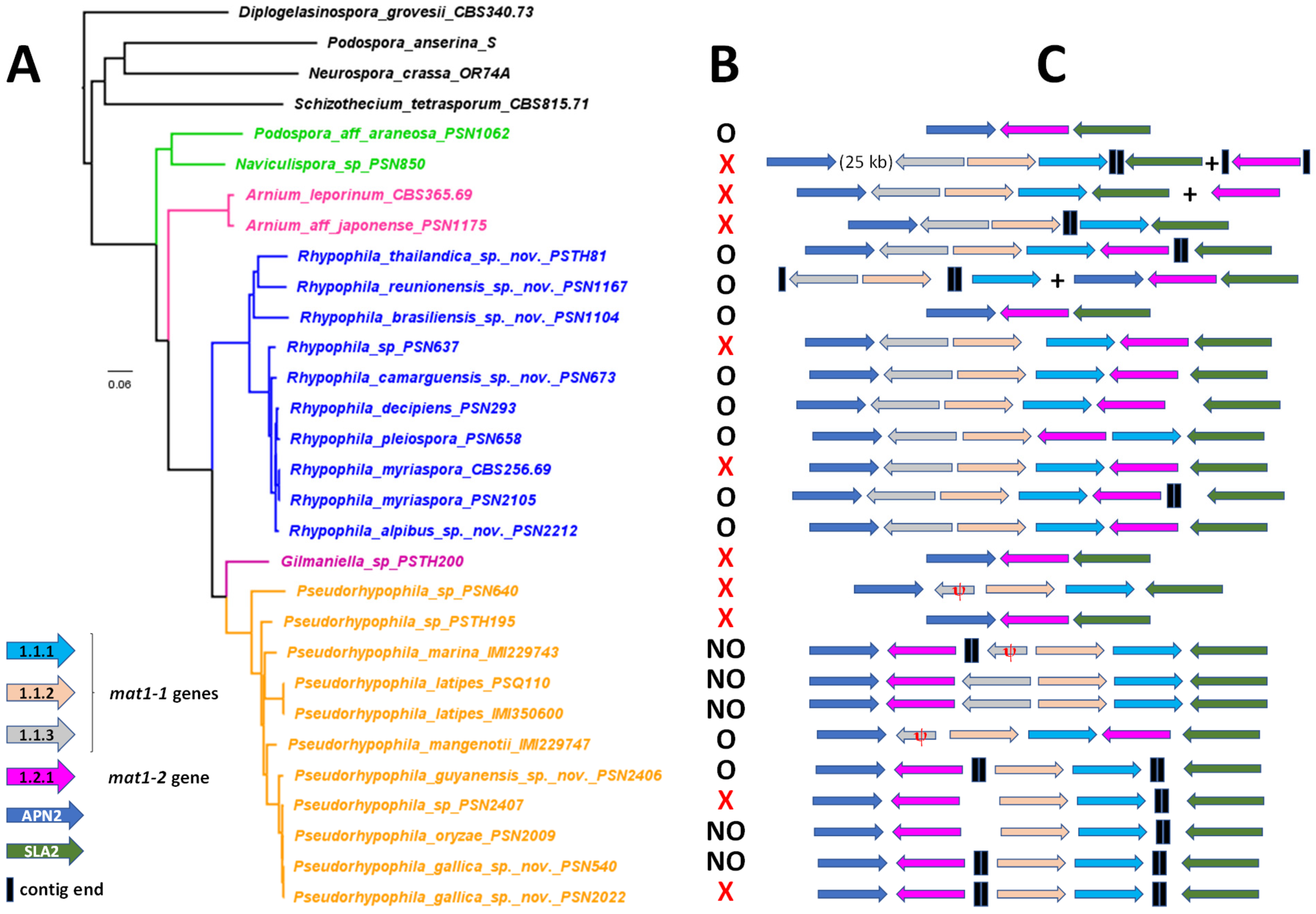 Jof 11 00880 g012 Jof 11 00880 g012