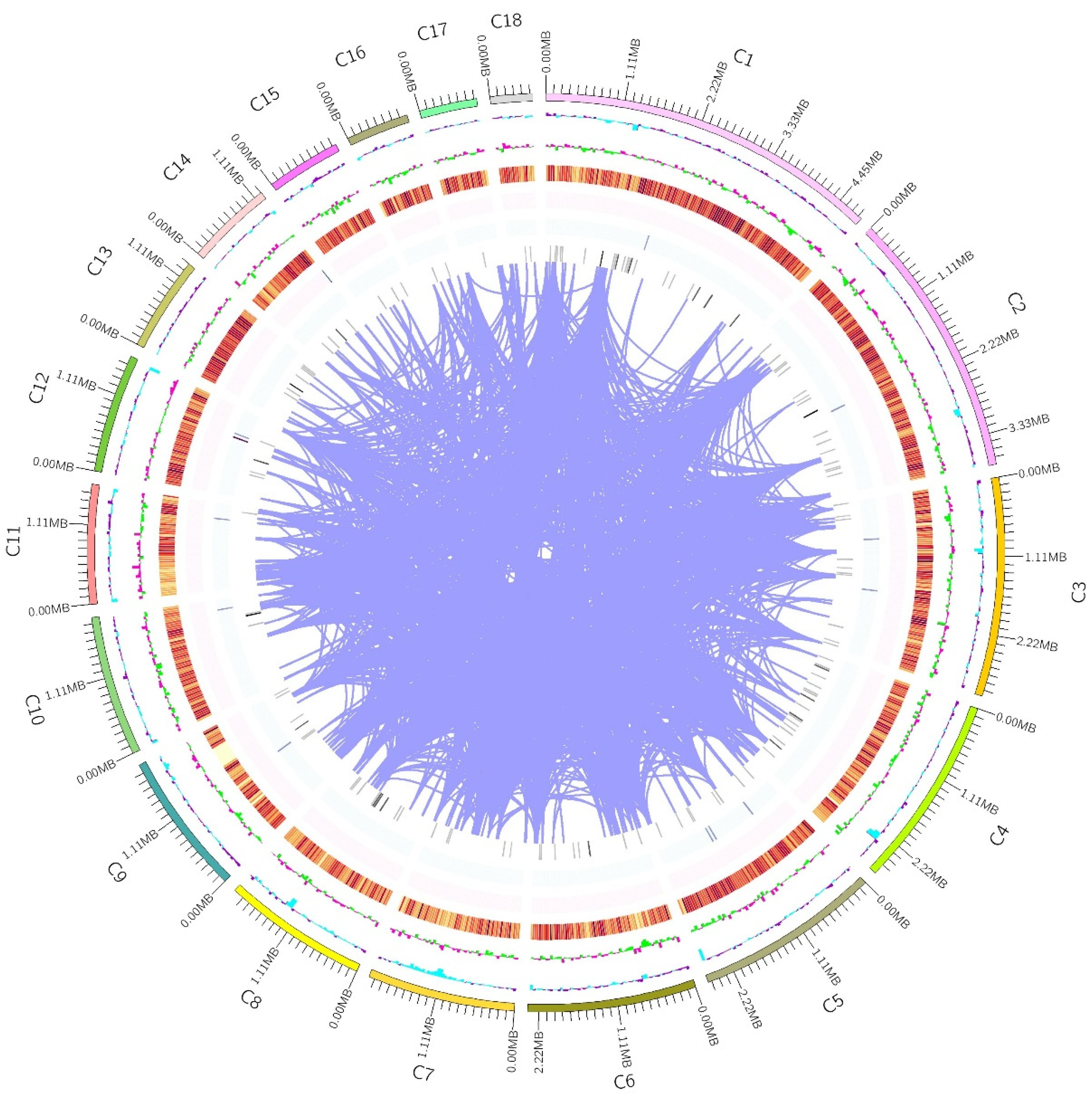 Jof 11 00882 g001 Jof 11 00882 g001