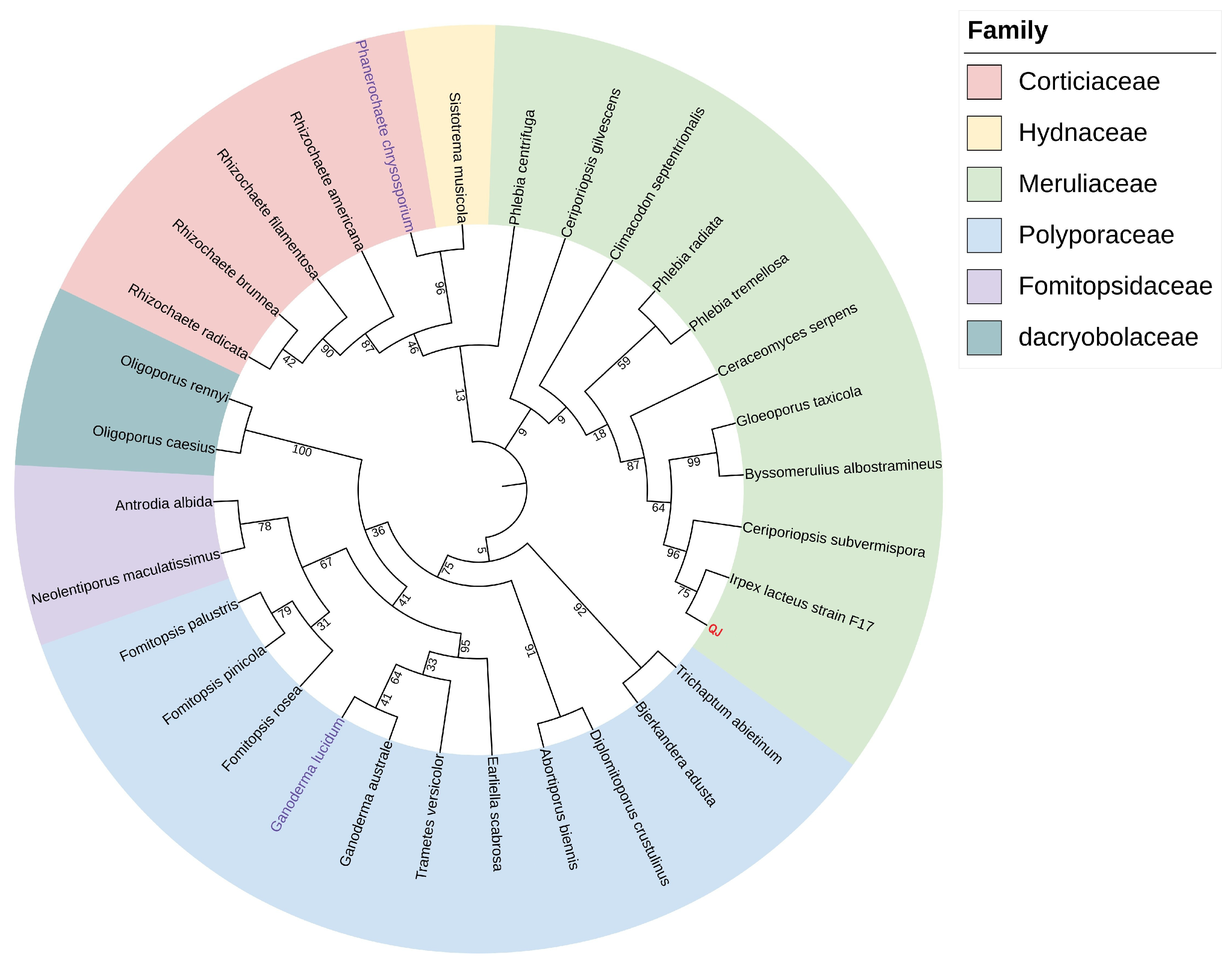 Jof 11 00882 g002 Jof 11 00882 g002