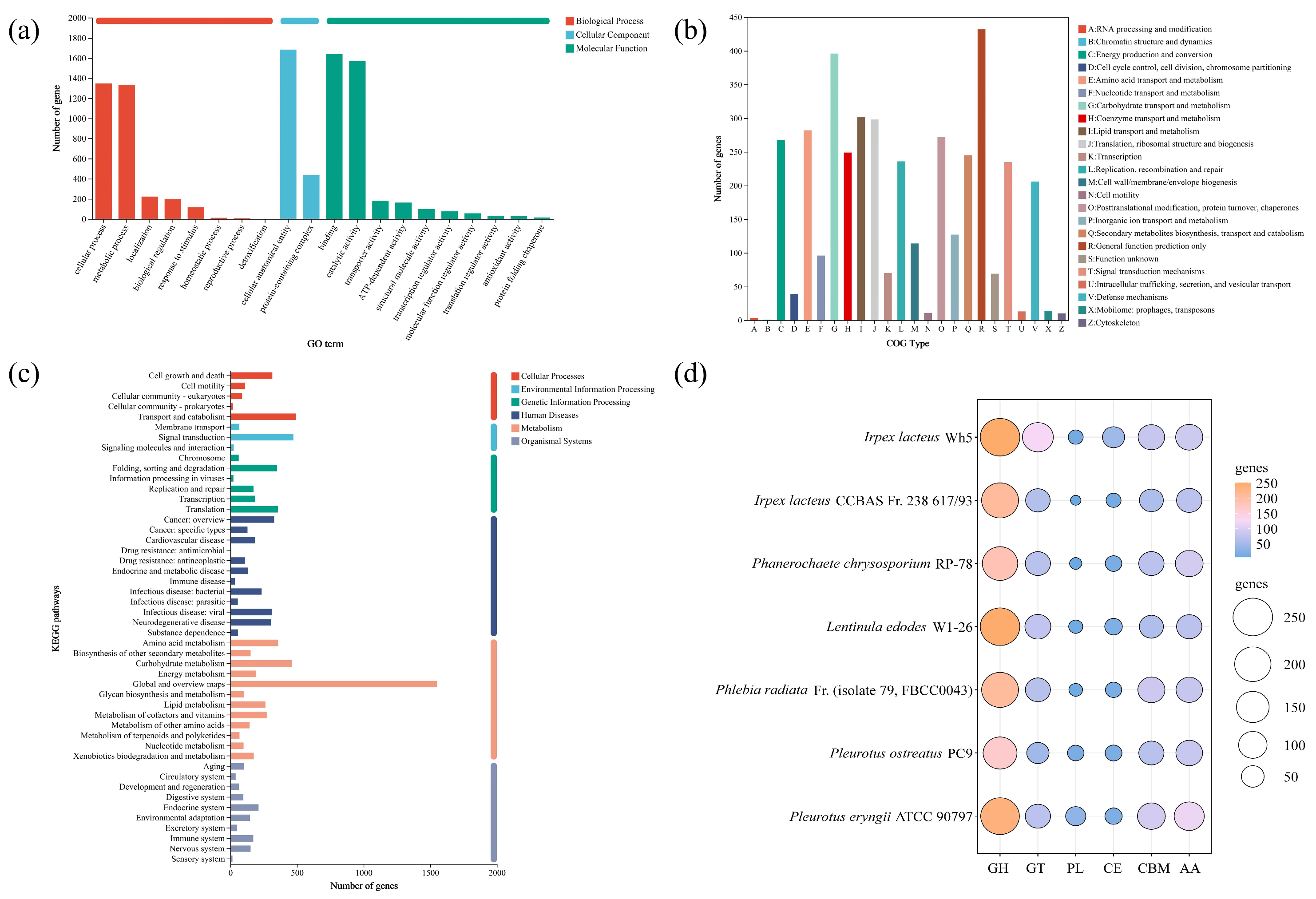 Jof 11 00882 g003 Jof 11 00882 g003